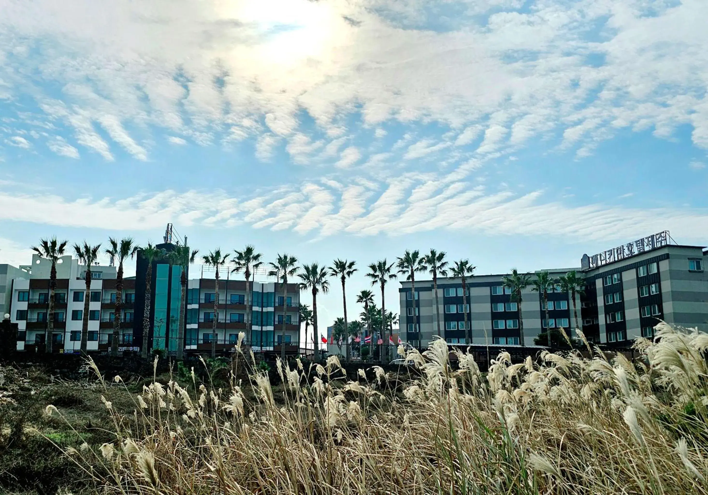 Property building in Benikea Hotel Jeju Property building in Benikea Hotel Jeju