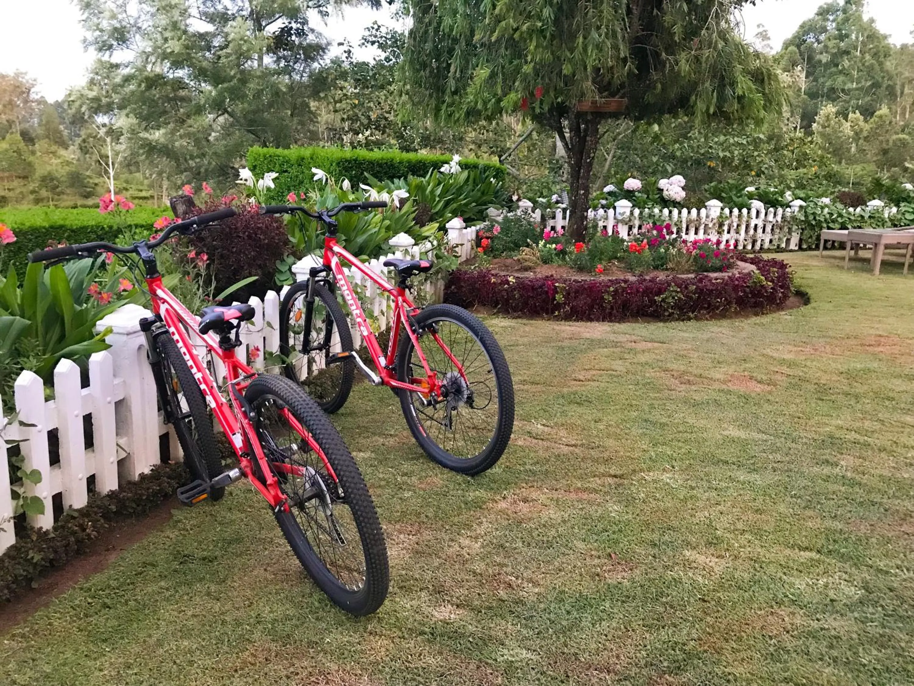 Activities in Stafford Bungalow - Exclusive Luxury Within A Private Tea Estate