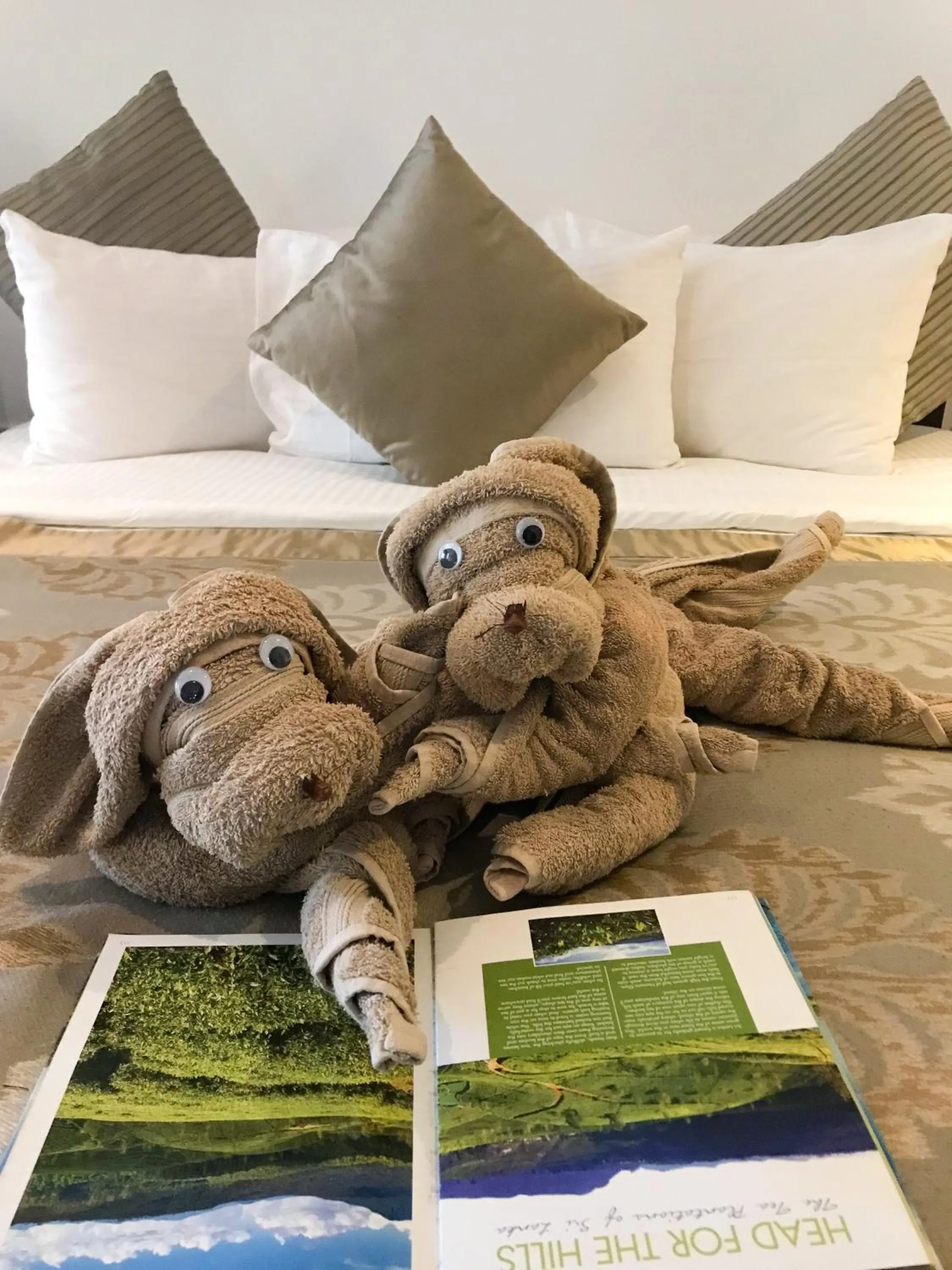 Decorative detail in Stafford Bungalow - Exclusive Luxury Within A Private Tea Estate