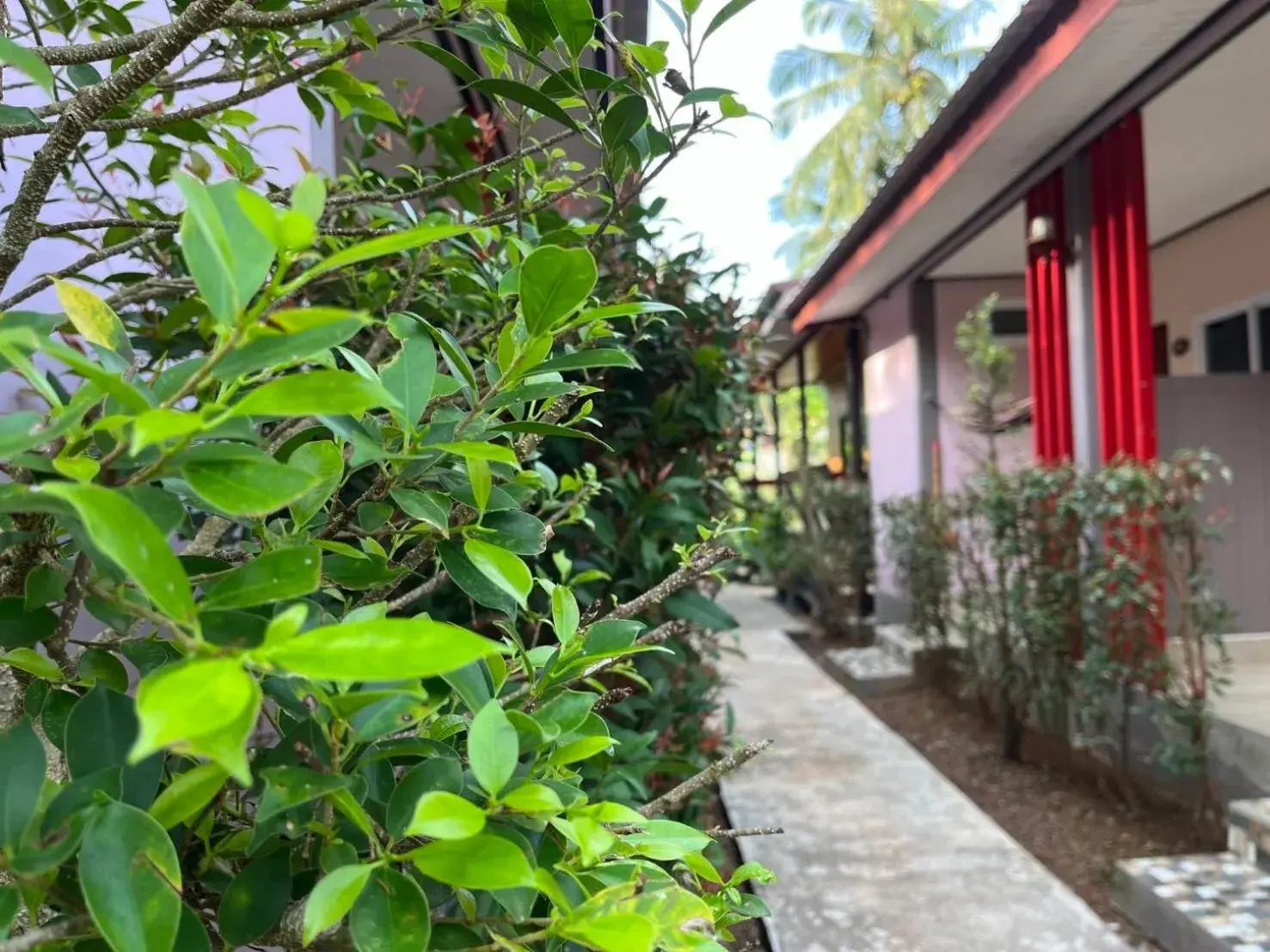 Property building in O k Chawkoh Bungalow Property building in O k Chawkoh Bungalow