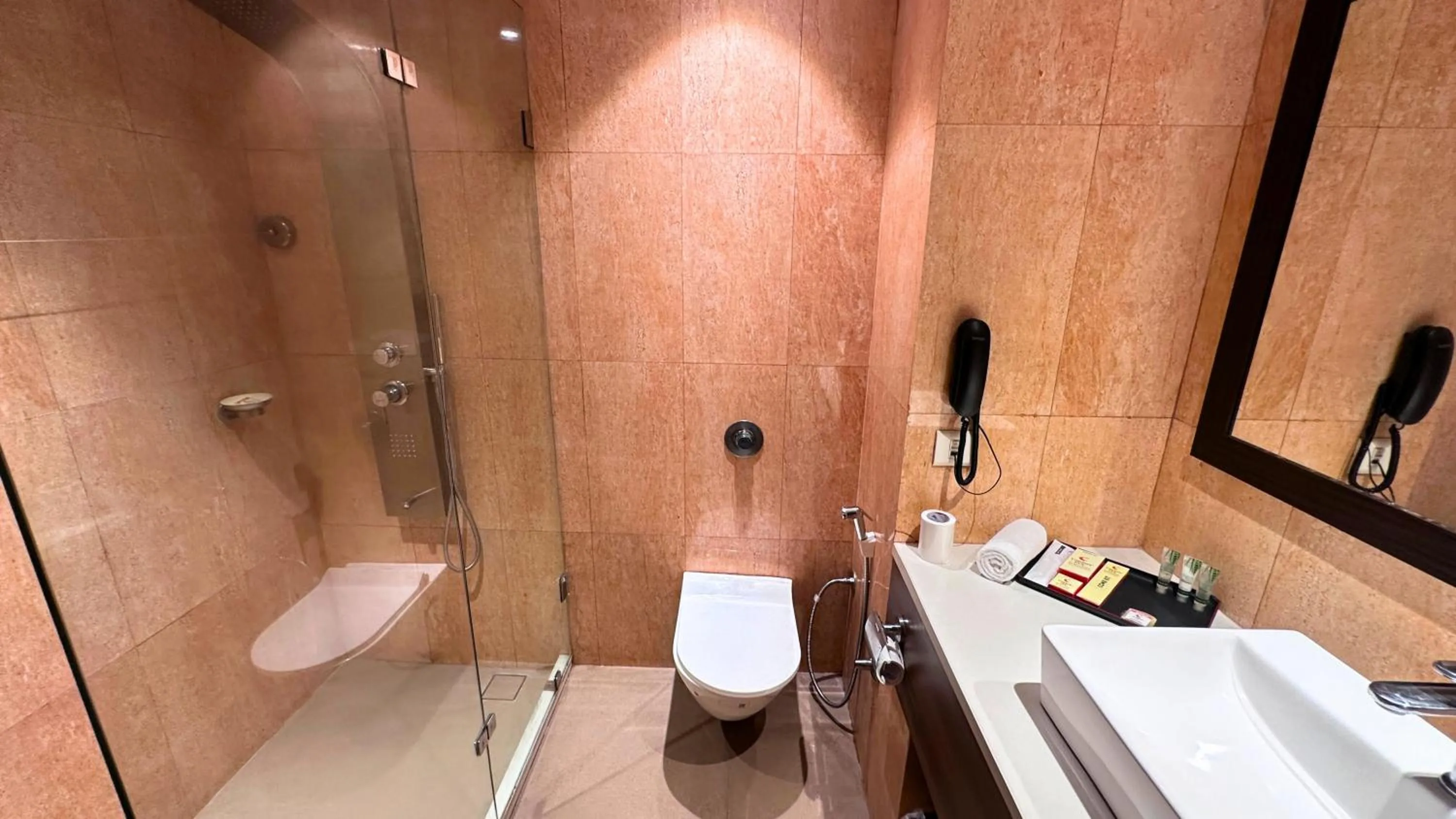 Shower in Comfort Inn Alstonia