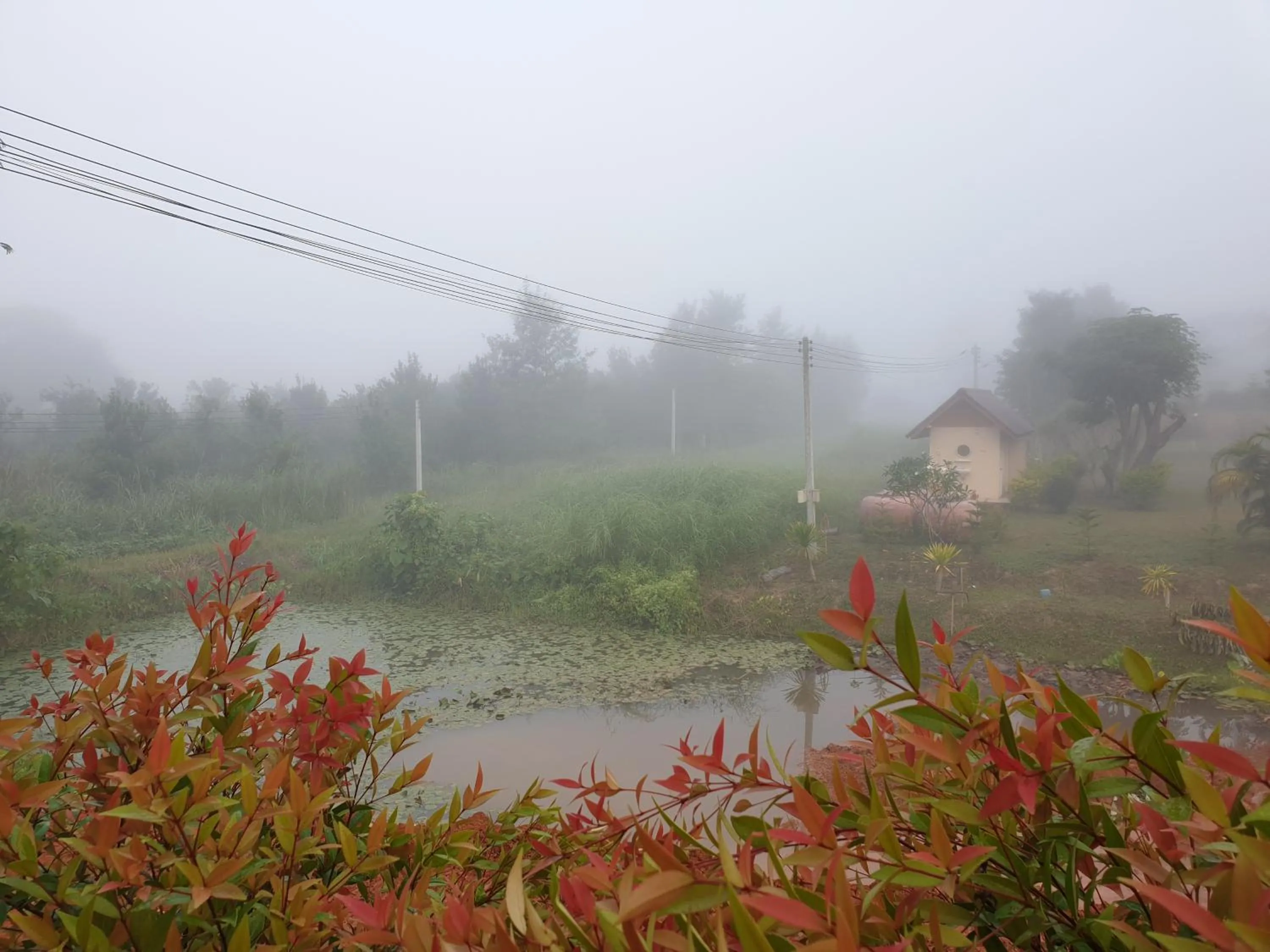 Natural landscape in Khao Kho Lucky Hill Resort