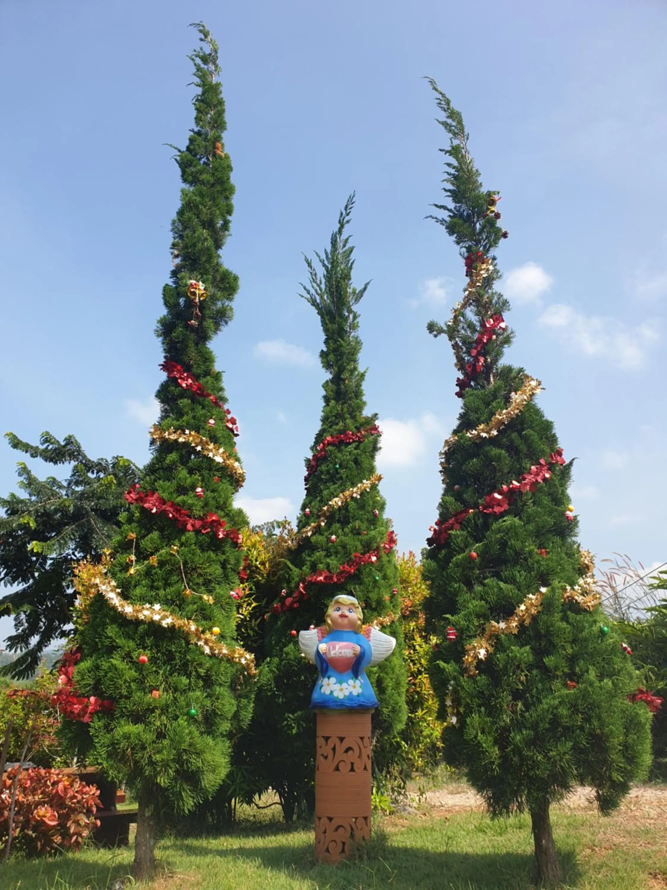 Natural landscape in Khao Kho Lucky Hill Resort