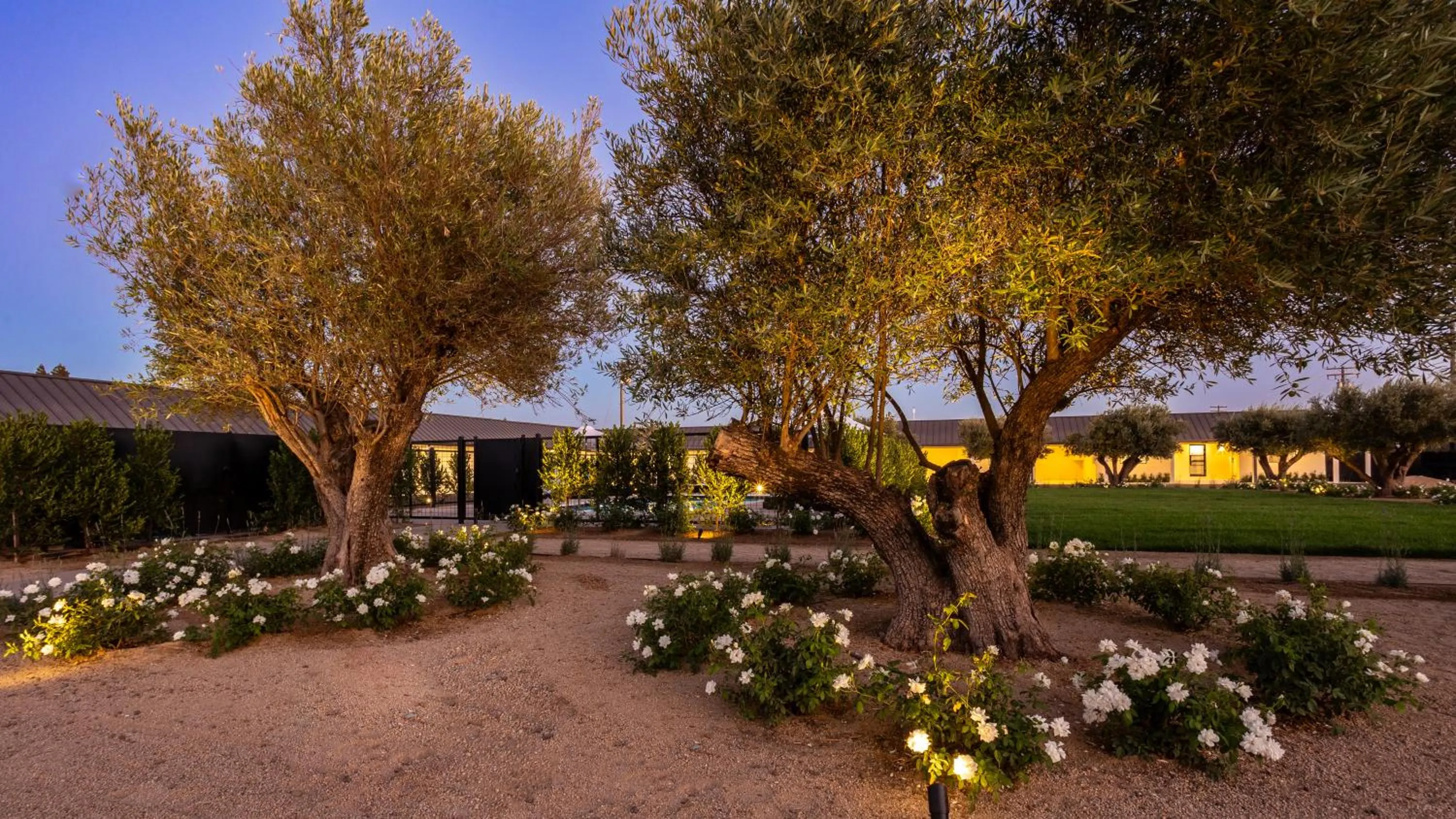 Garden in Hotel Bayit
