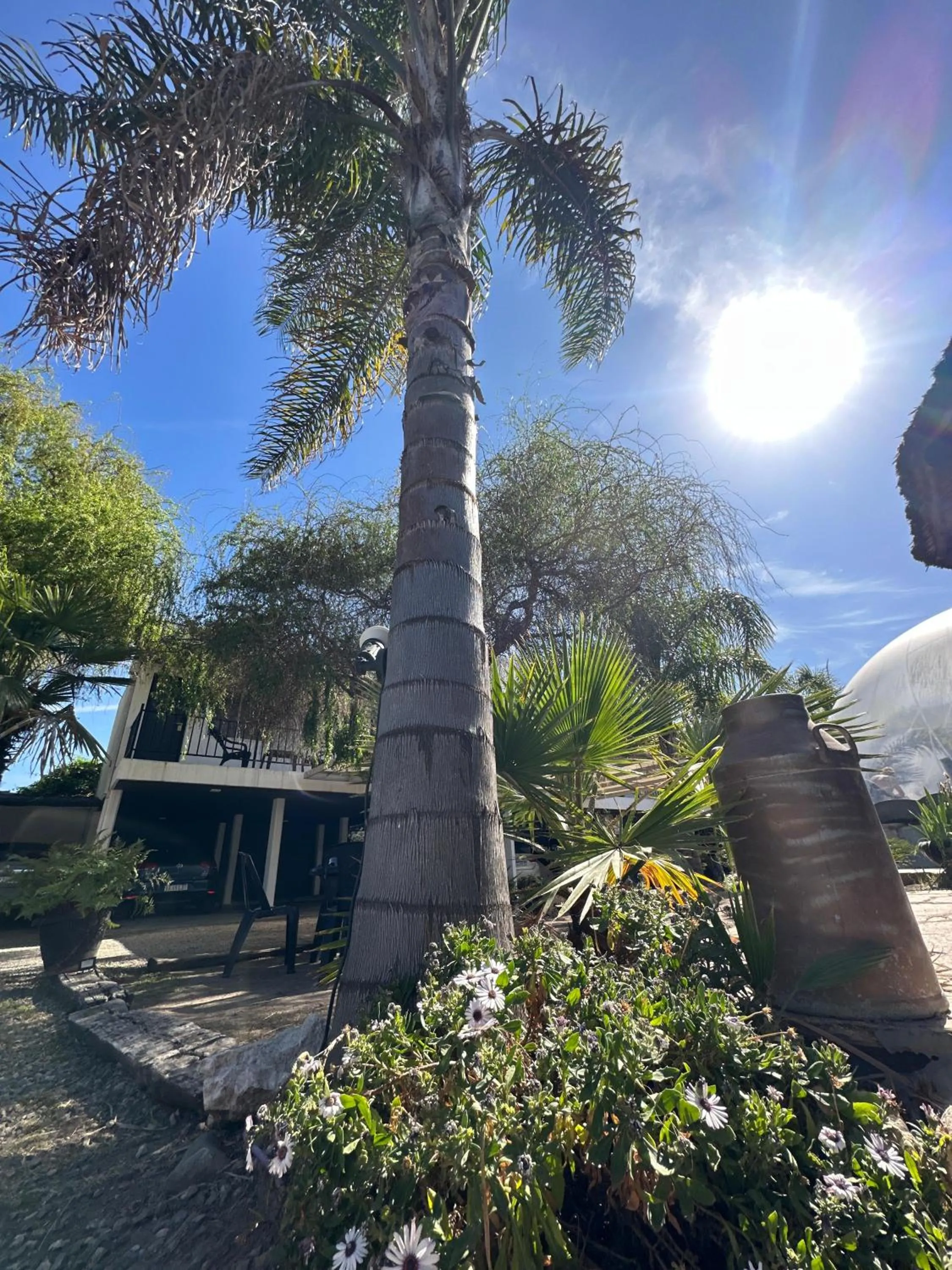 Natural landscape in Hotel Posada del Ángel