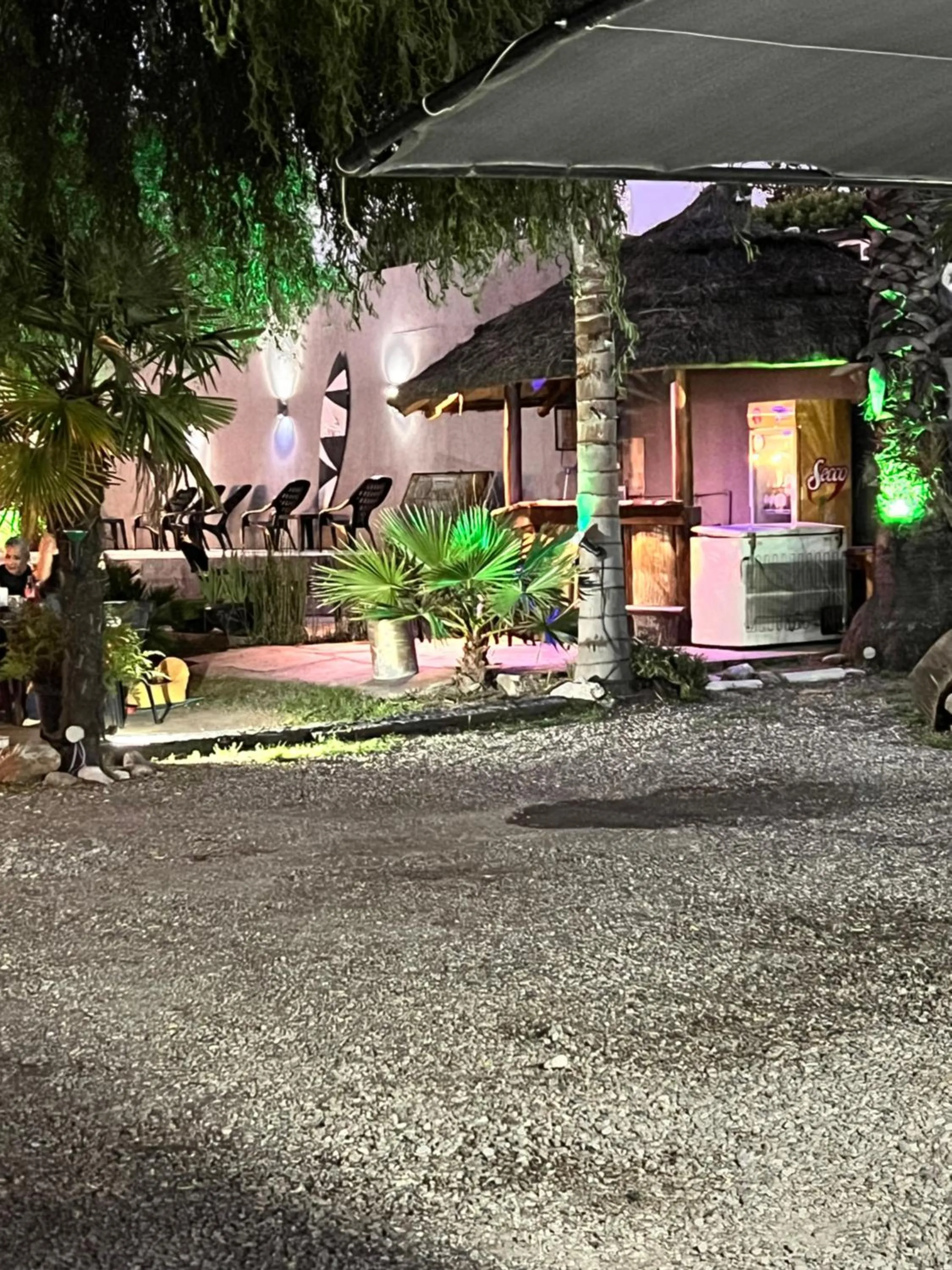 Garden in Hotel Posada del Ángel