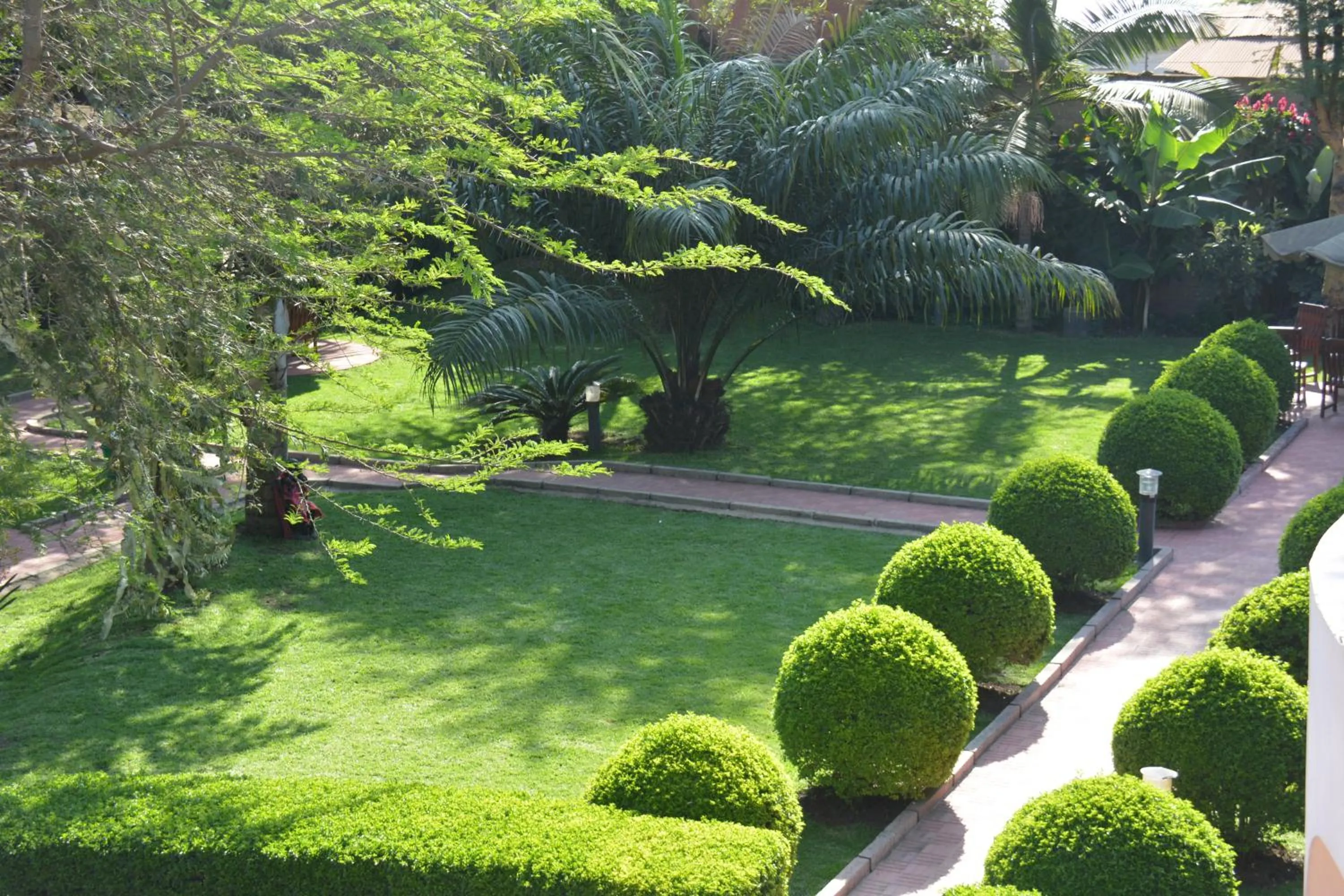 Garden in The Charity Hotel International
