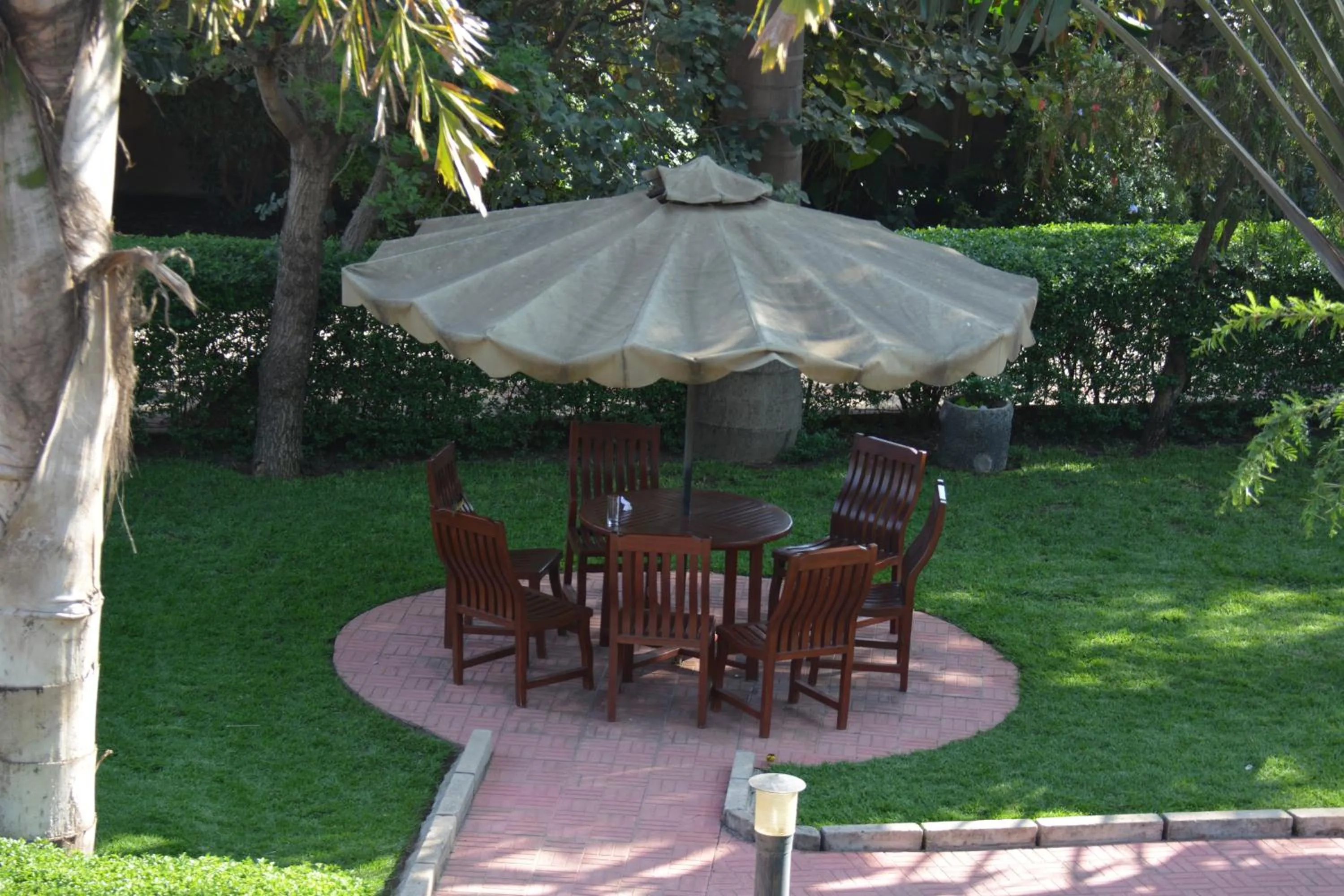 Garden in The Charity Hotel International