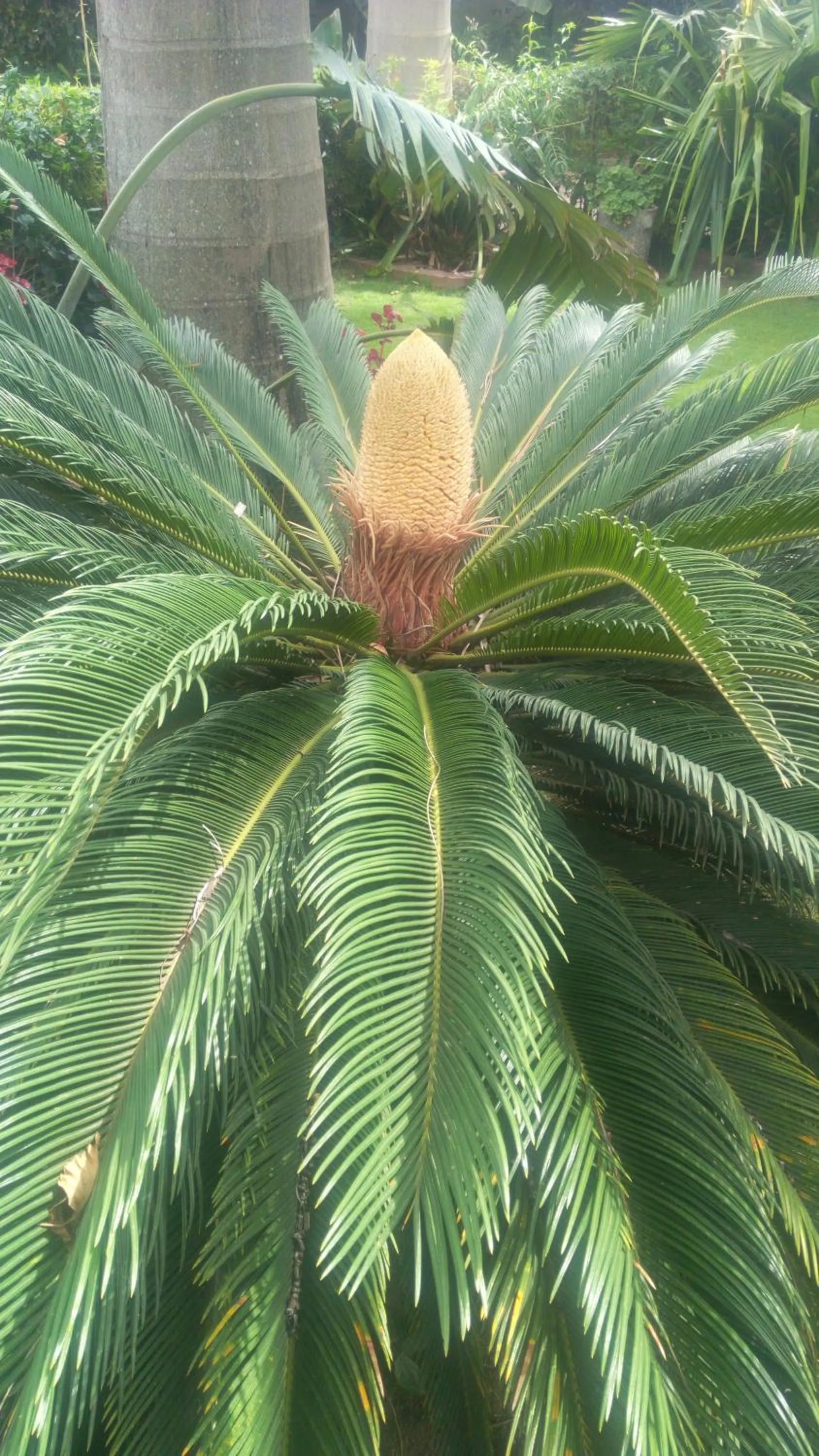 The Charity Hotel International