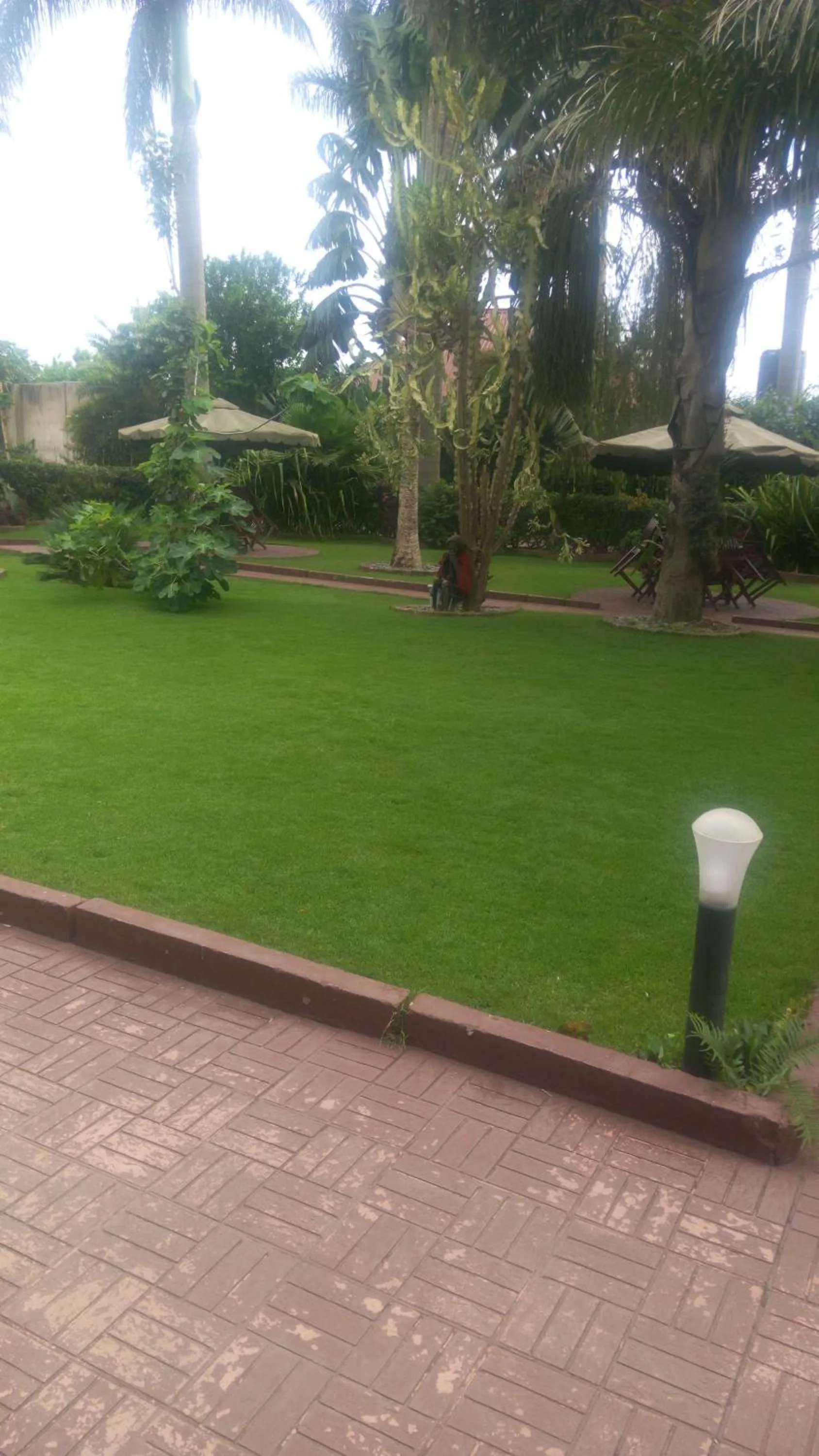 The Charity Hotel International