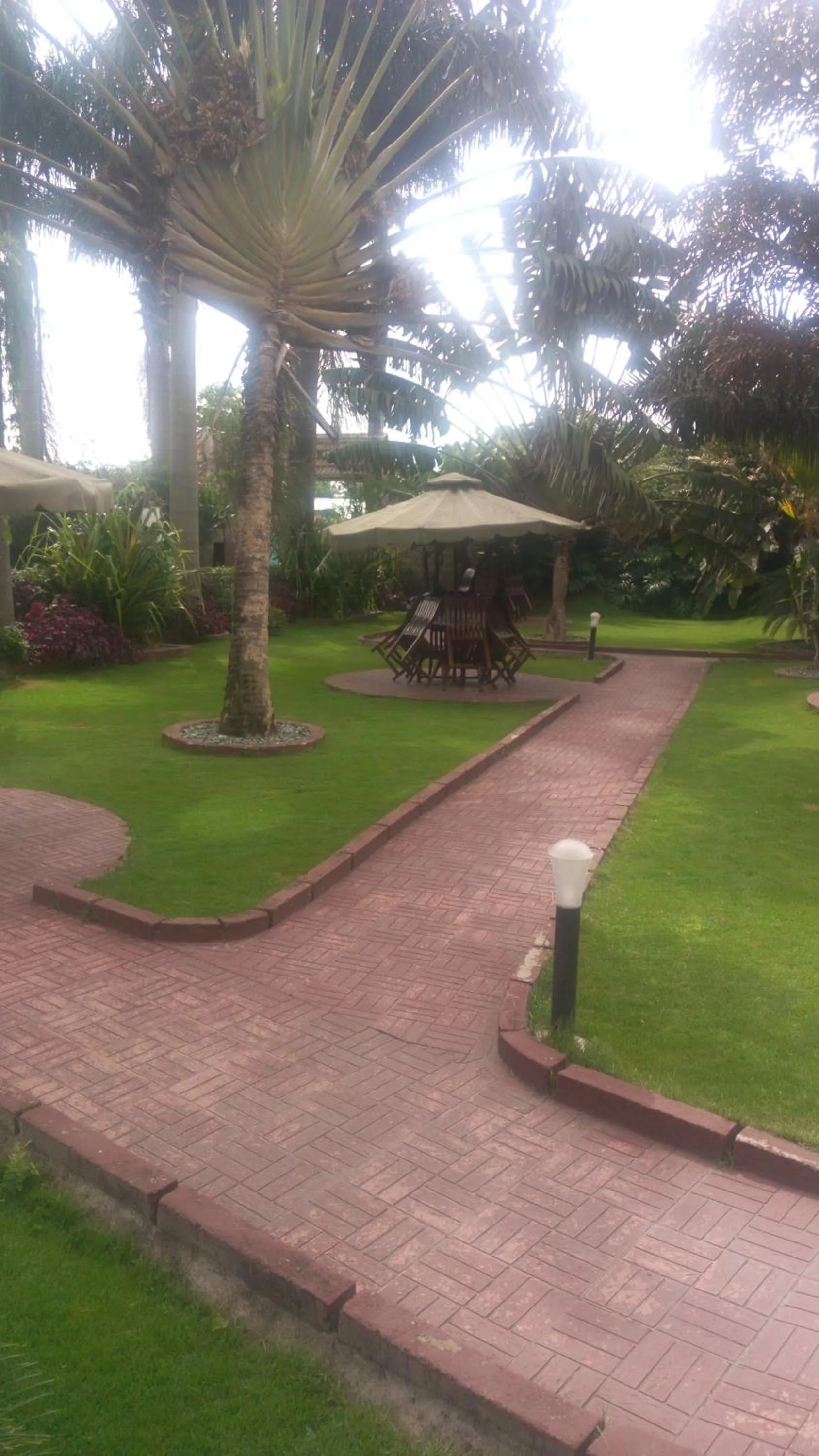 The Charity Hotel International