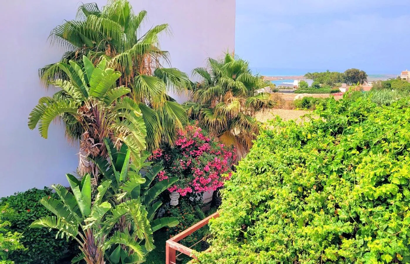 Garden view in Maison de la Lagune