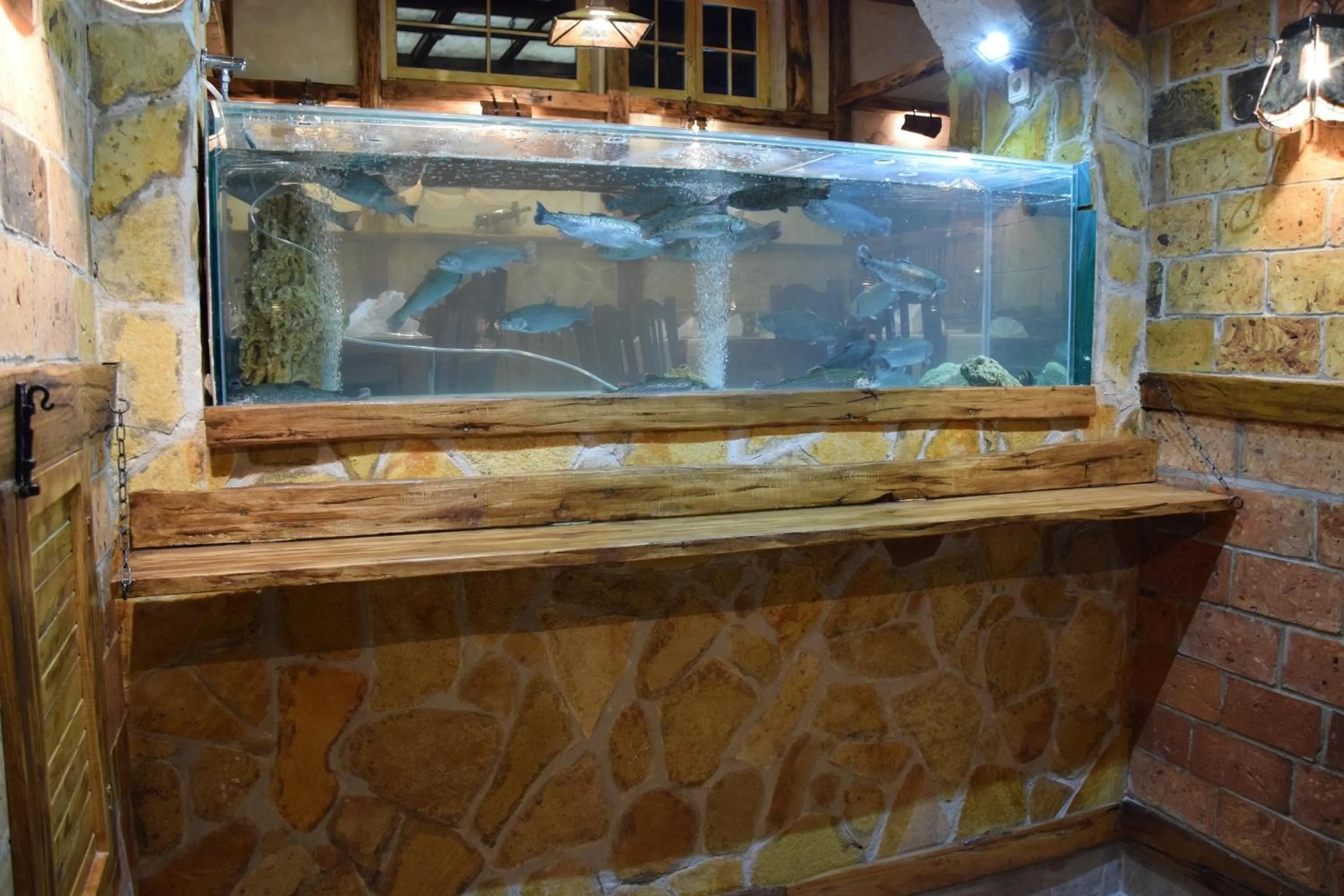 Restaurant/places to eat in Hotel Elegance