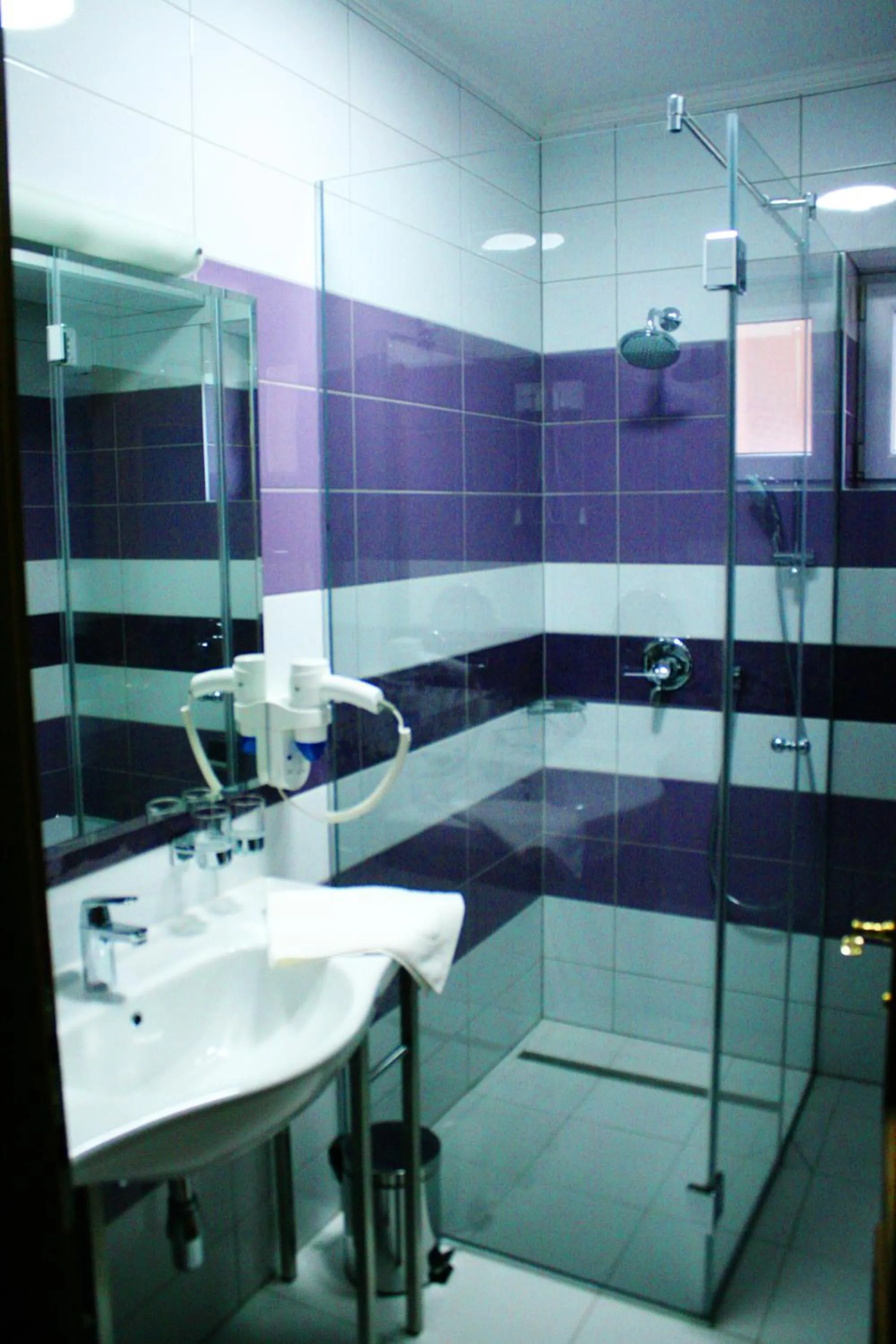Shower in Hotel Elegance