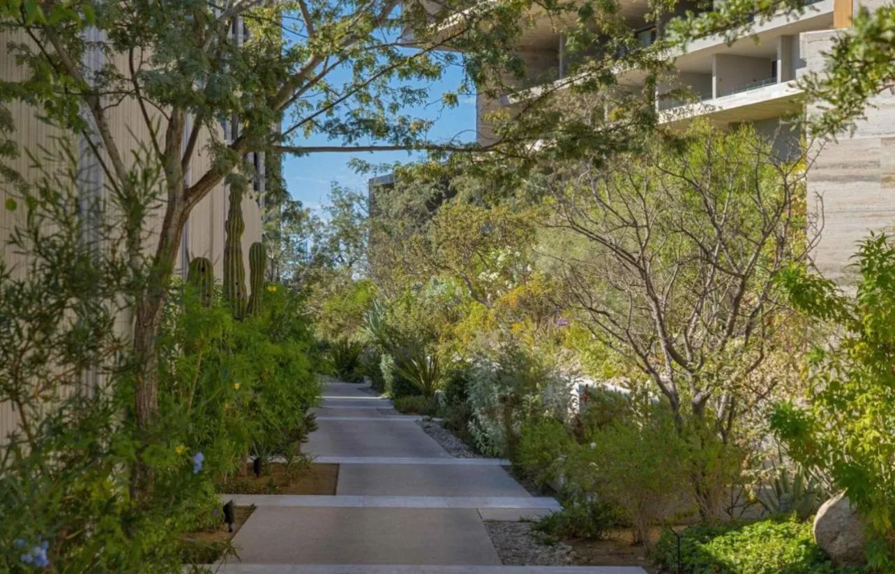 Natural landscape in Solaz, a Luxury Collection Resort, Los Cabos