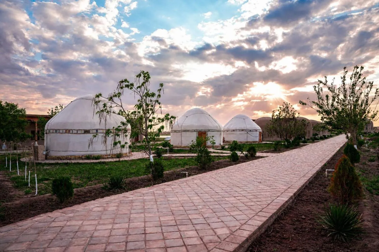 City of Magicians Yurt&Desert Experience