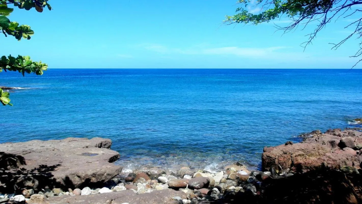 Paradise Bay