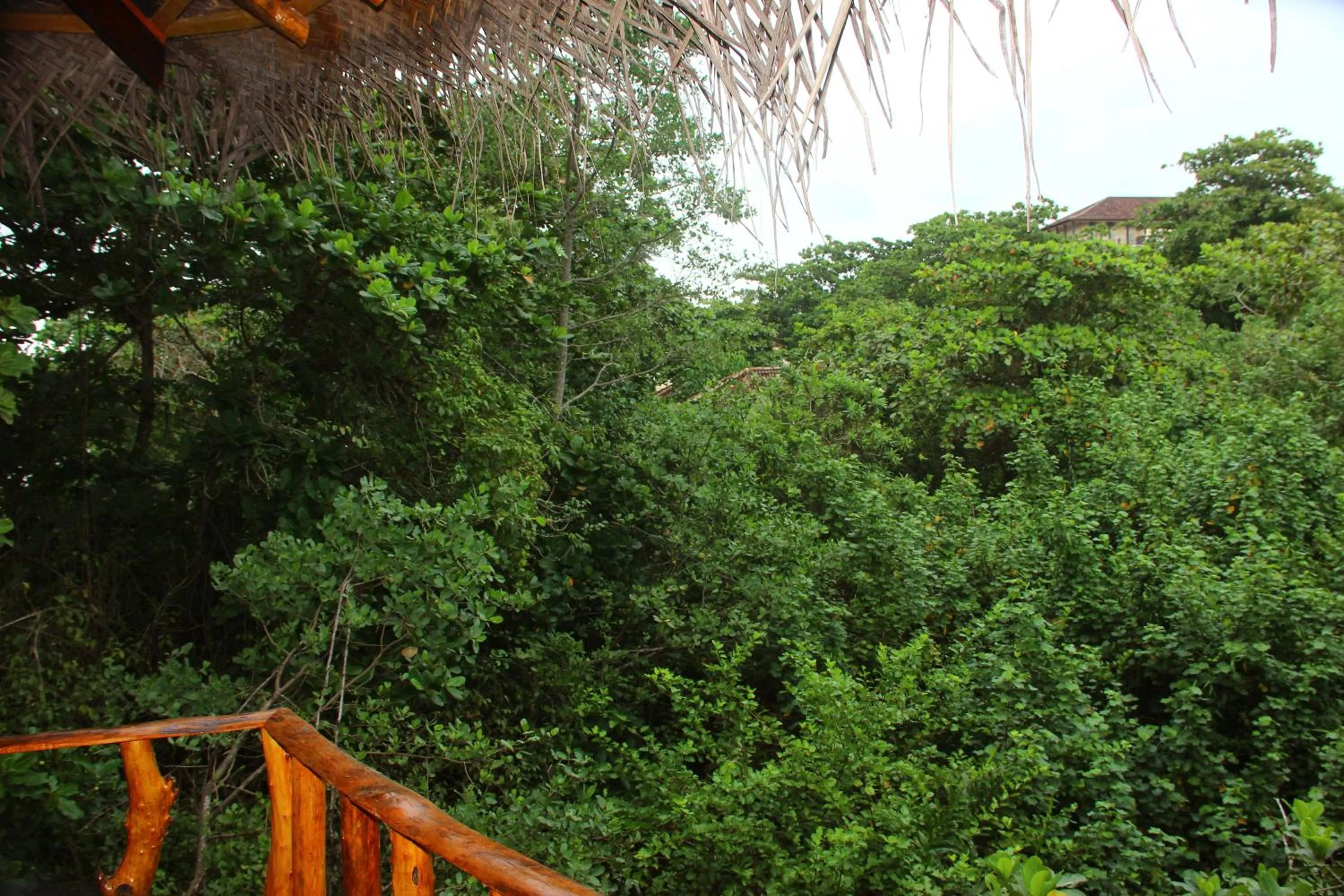 Natural landscape in Seasons Four Mini Jungle Cabana