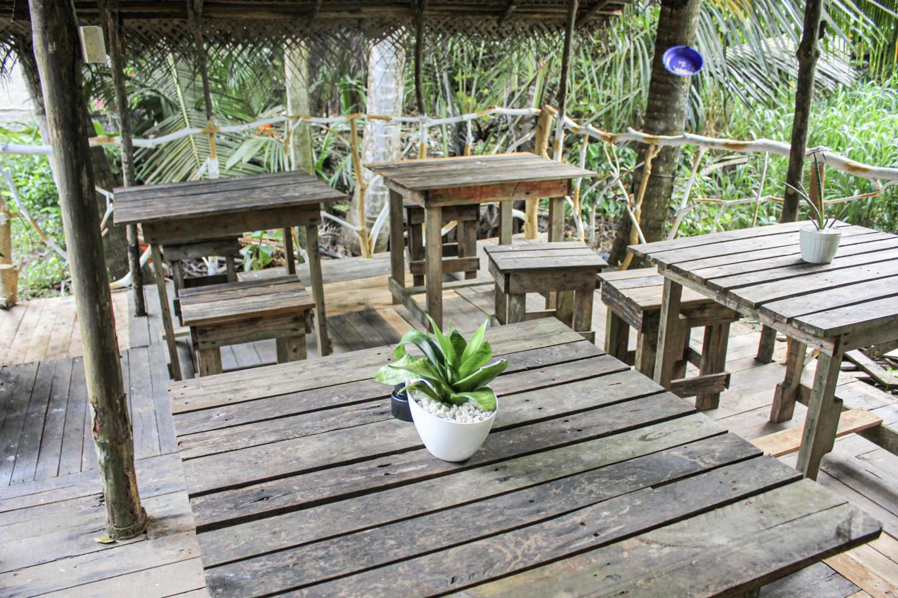 Restaurant/places to eat in Seasons Four Mini Jungle Cabana