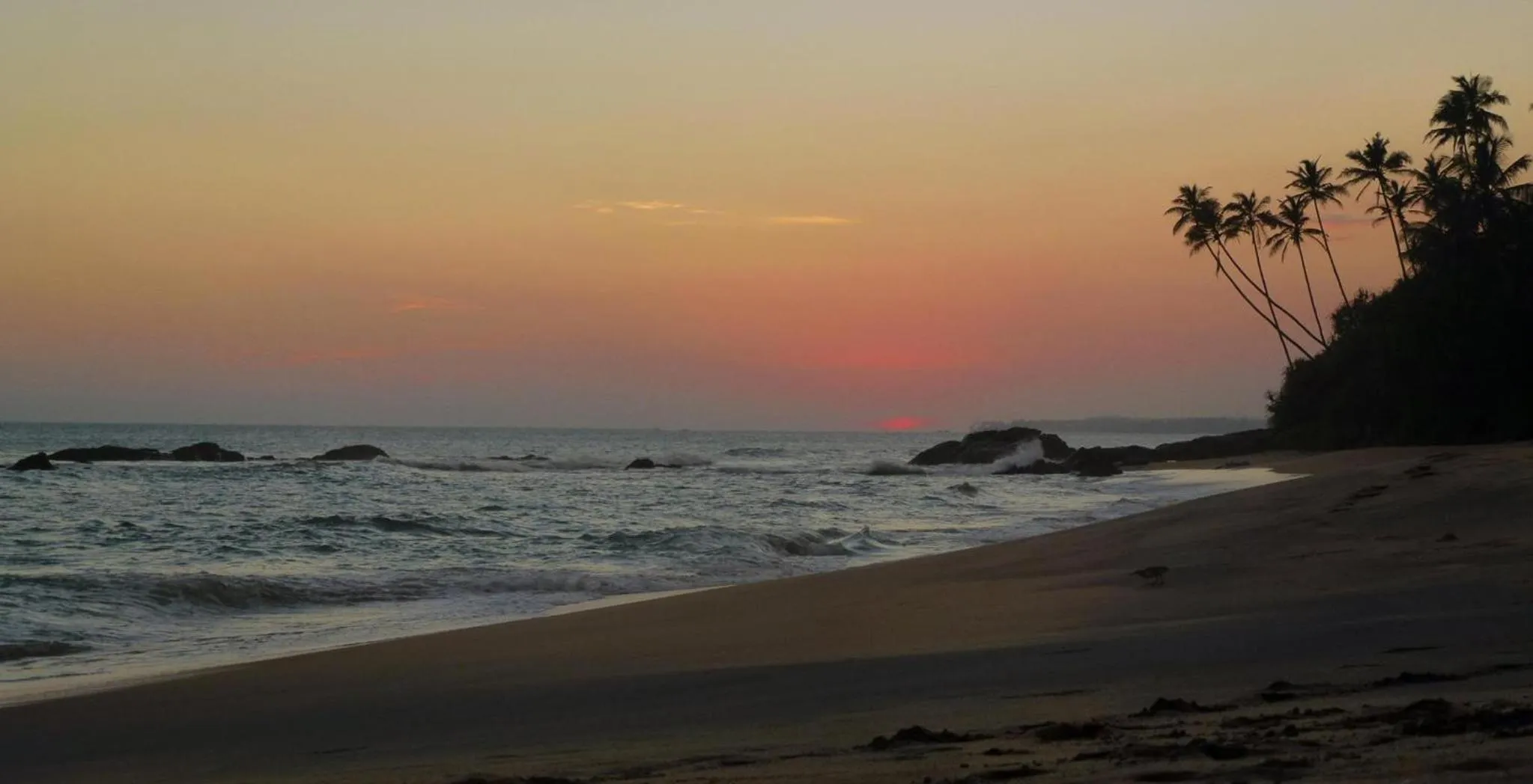 Beach in Seasons Four Mini Jungle Cabana