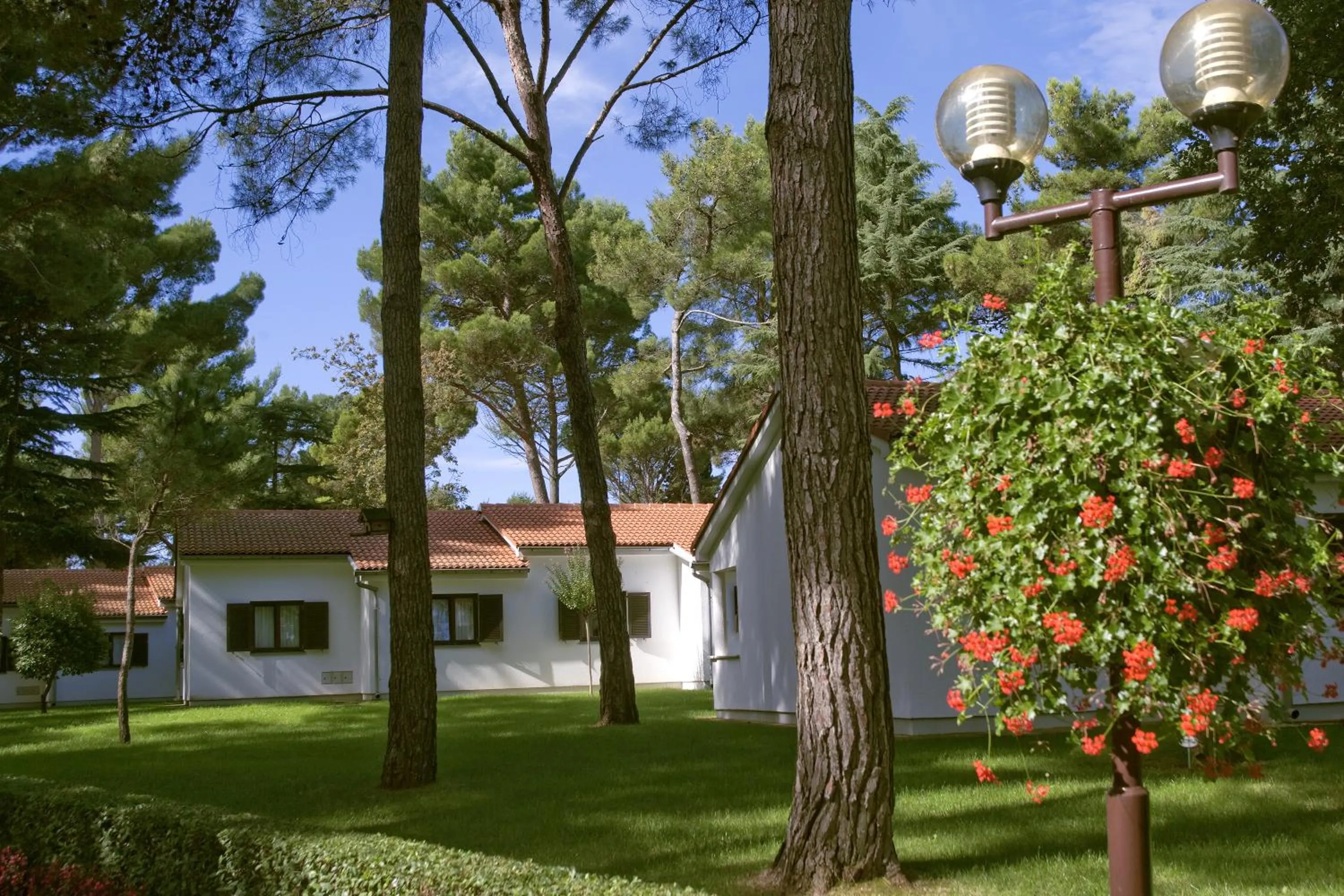 Decorative detail in Apartments Galijot Plava Laguna