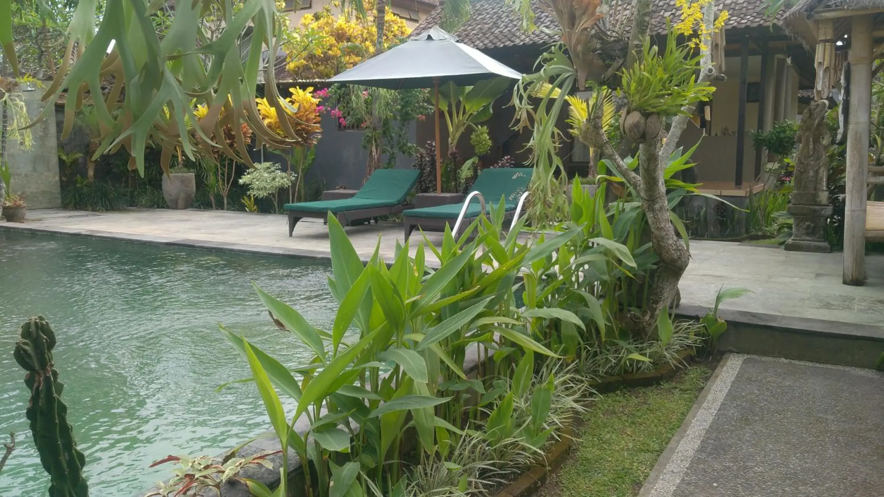 Nugraha Guest House 2 Nugraha Guest House 2