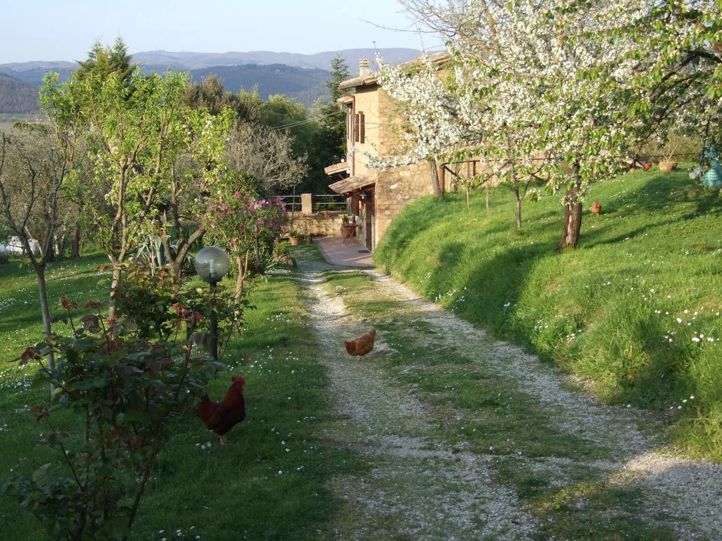 Podere La Vigna Locazione Turistica Podere La Vigna Locazione Turistica