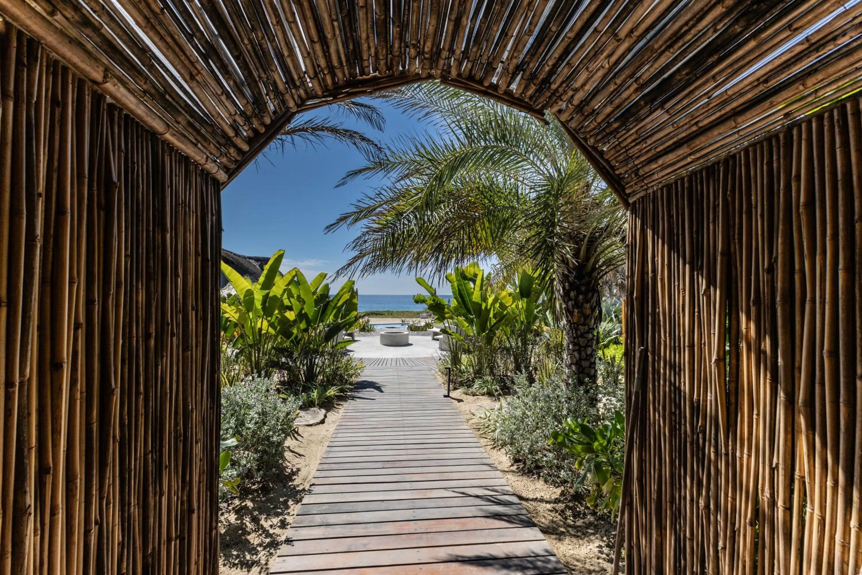 Lu Vee Oasis
