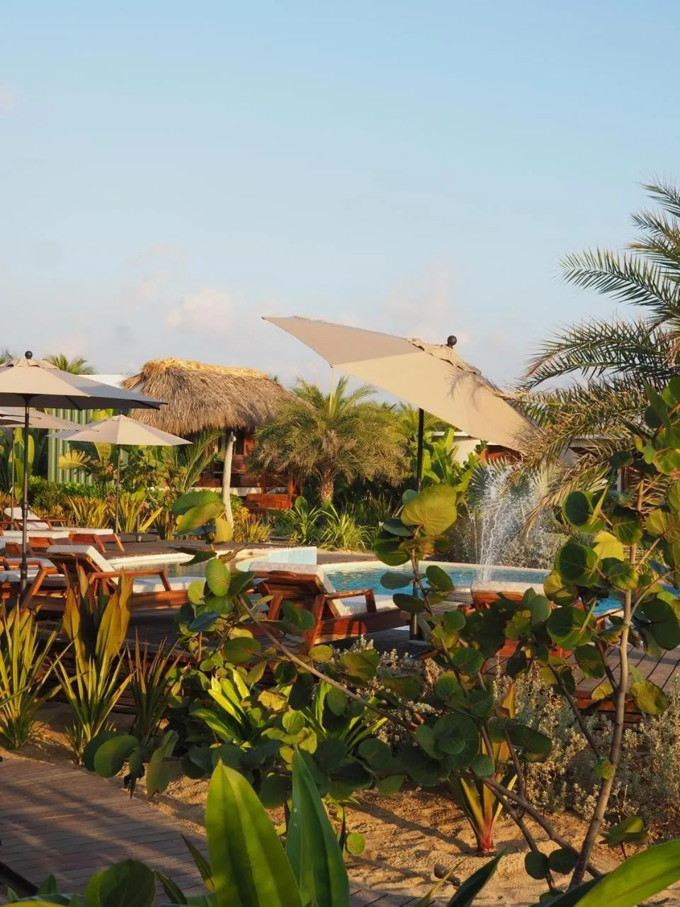 Lu Vee Oasis