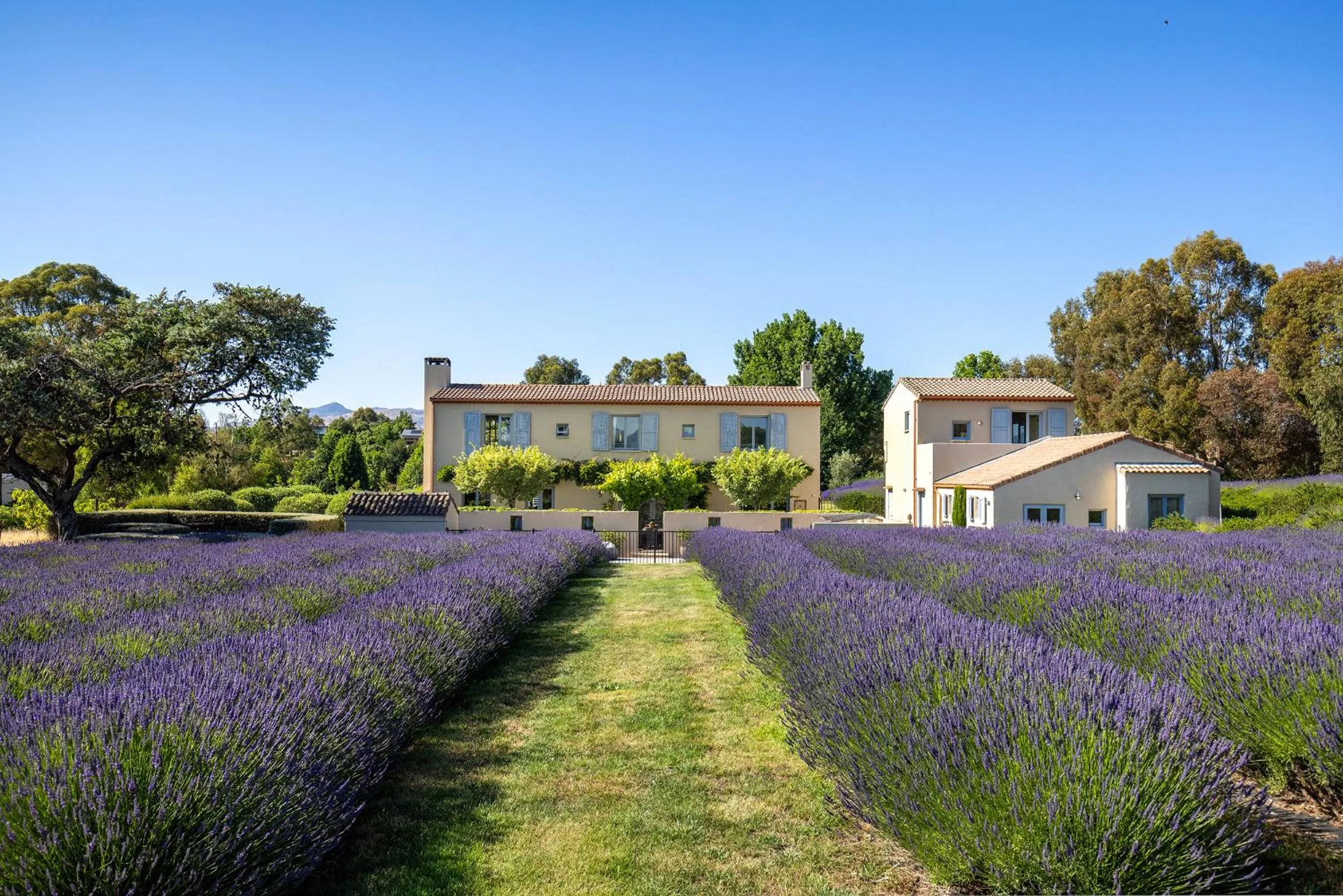 French Fields