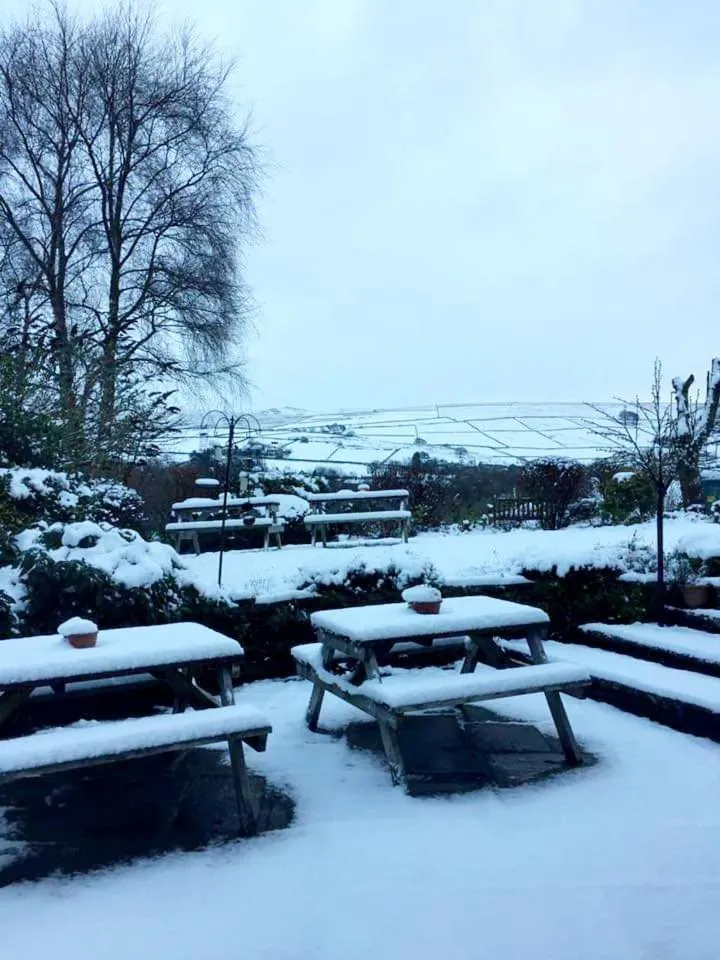 View (from property/room) in The Waltzing Weasel