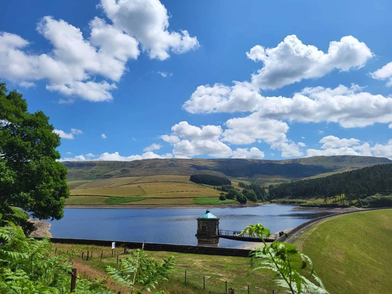 Natural landscape in The Waltzing Weasel