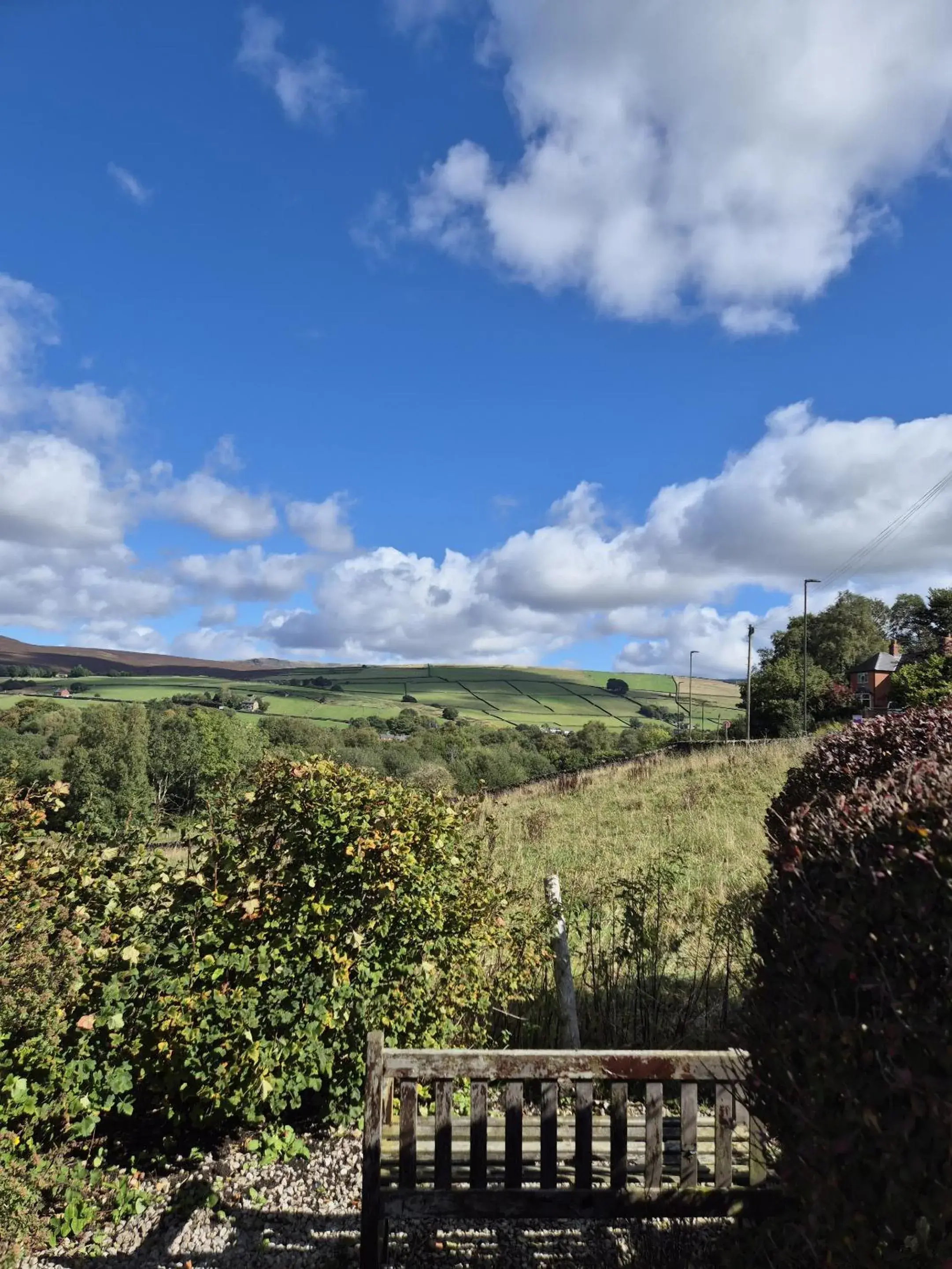 View (from property/room) in The Waltzing Weasel View (from property/room) in The Waltzing Weasel