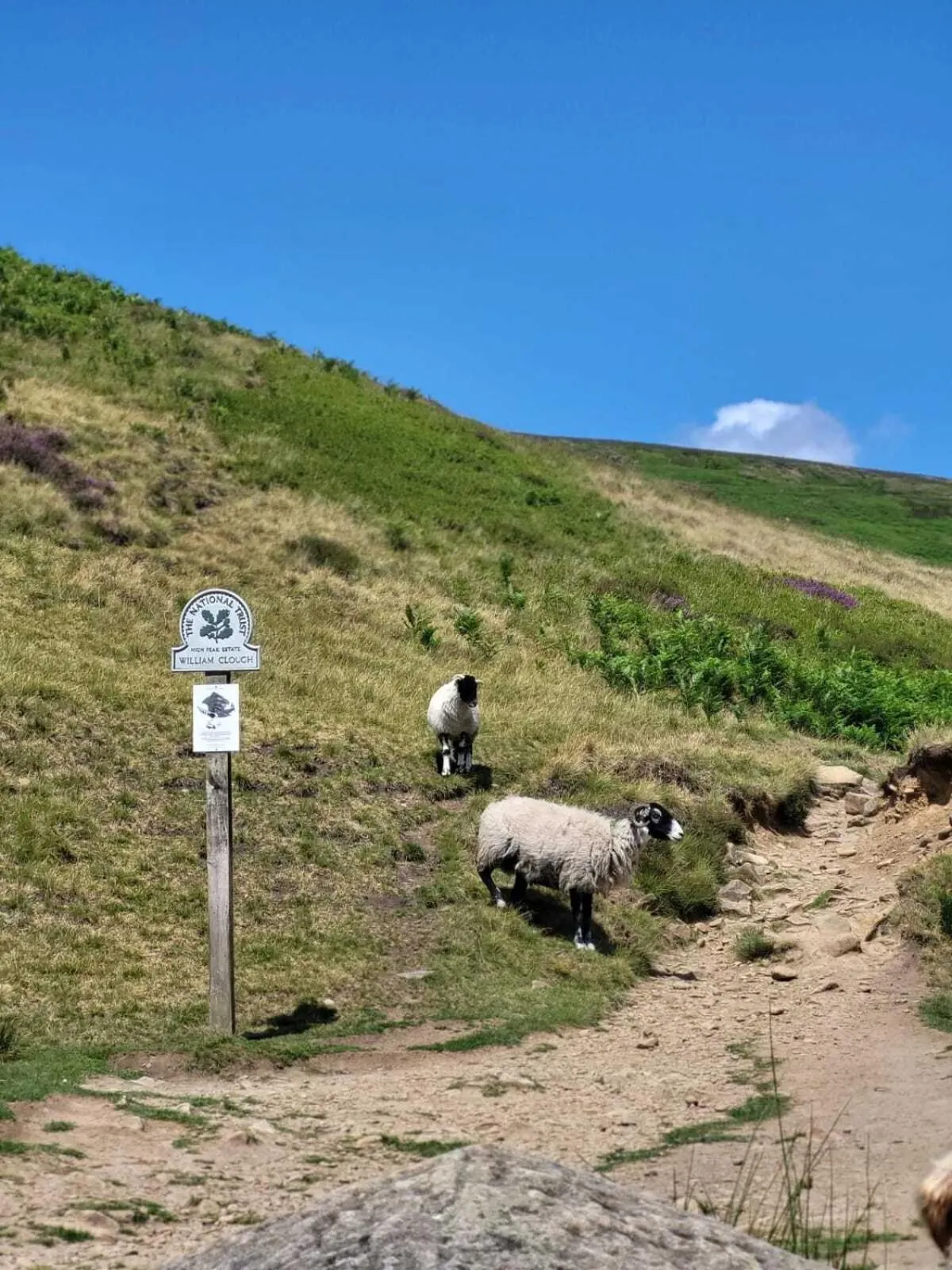Natural landscape in The Waltzing Weasel