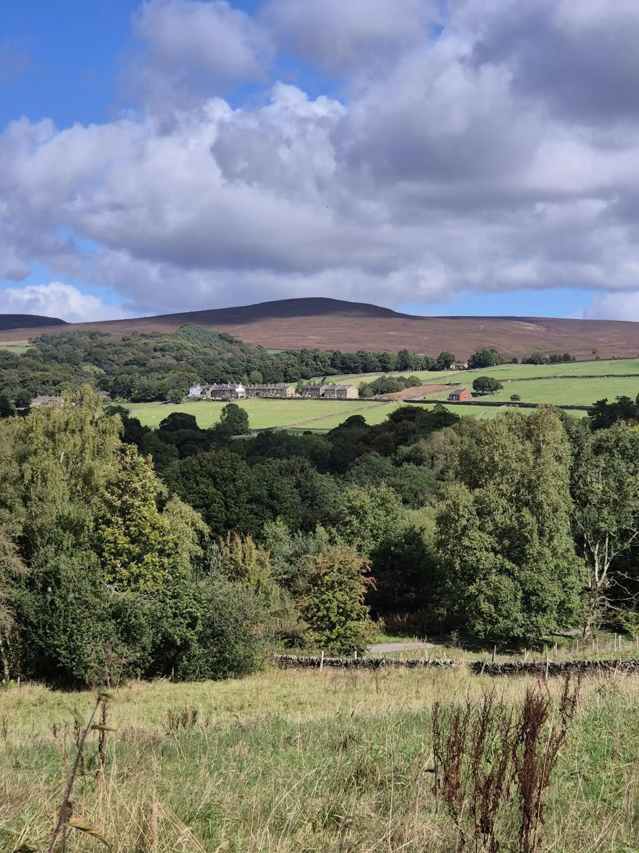View (from property/room) in The Waltzing Weasel View (from property/room) in The Waltzing Weasel