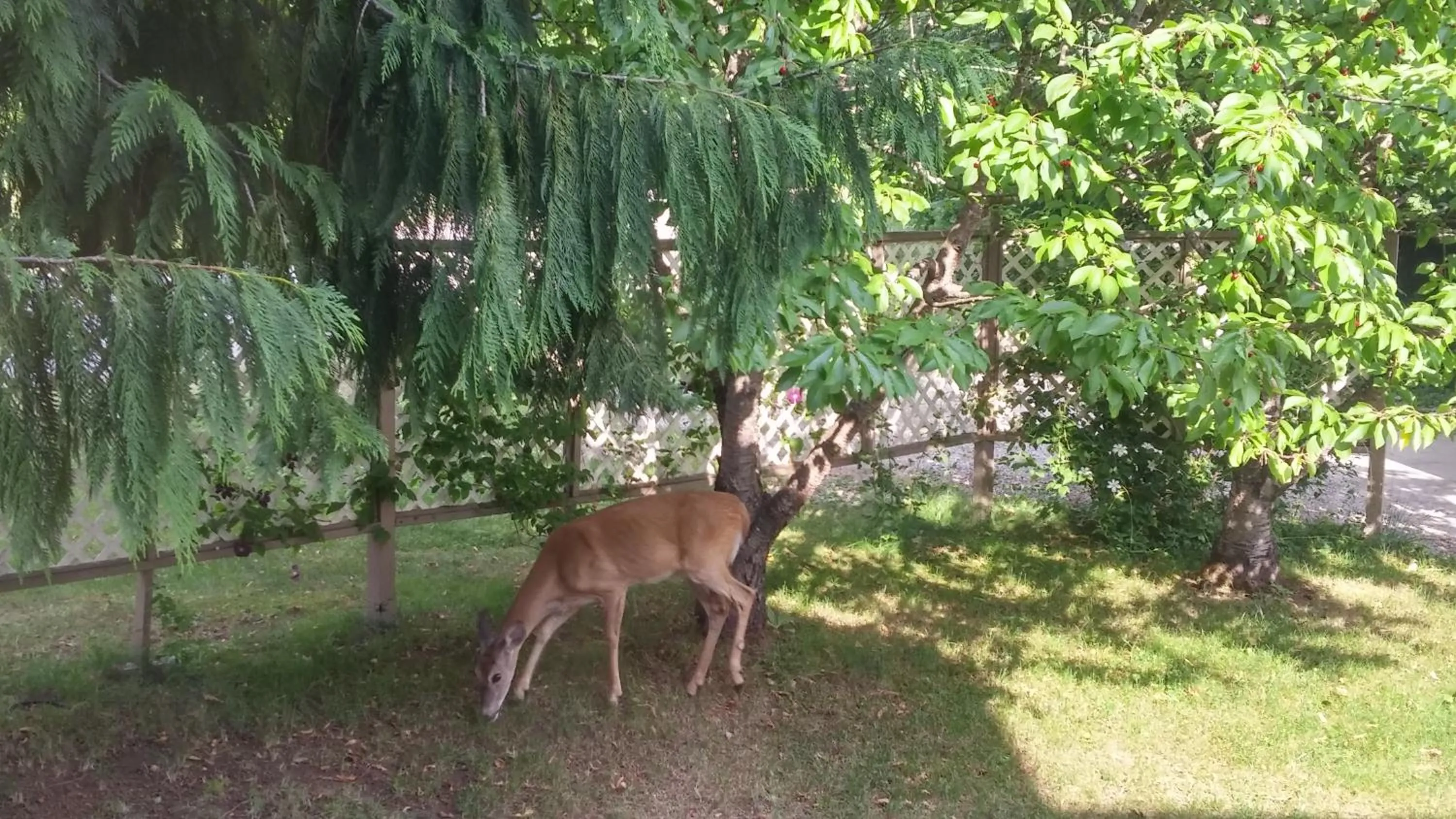 Other in Cornerstone Bed and Breakfast