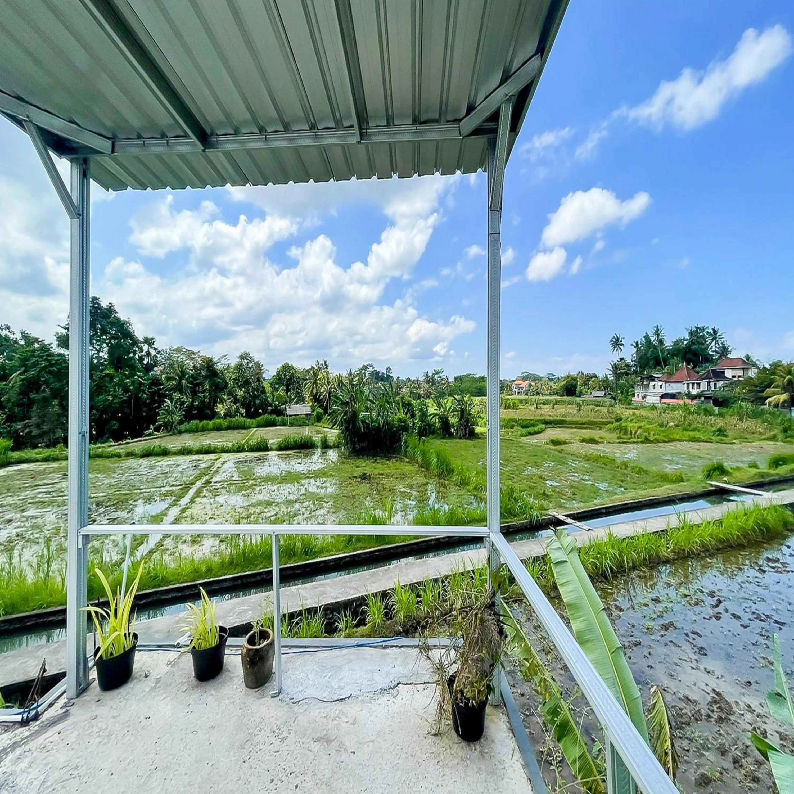 Natural landscape in Winy House