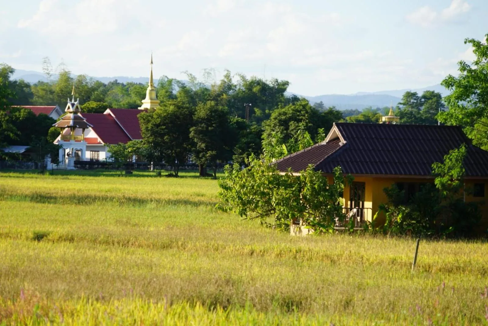 View (from property/room) in Country Retreat