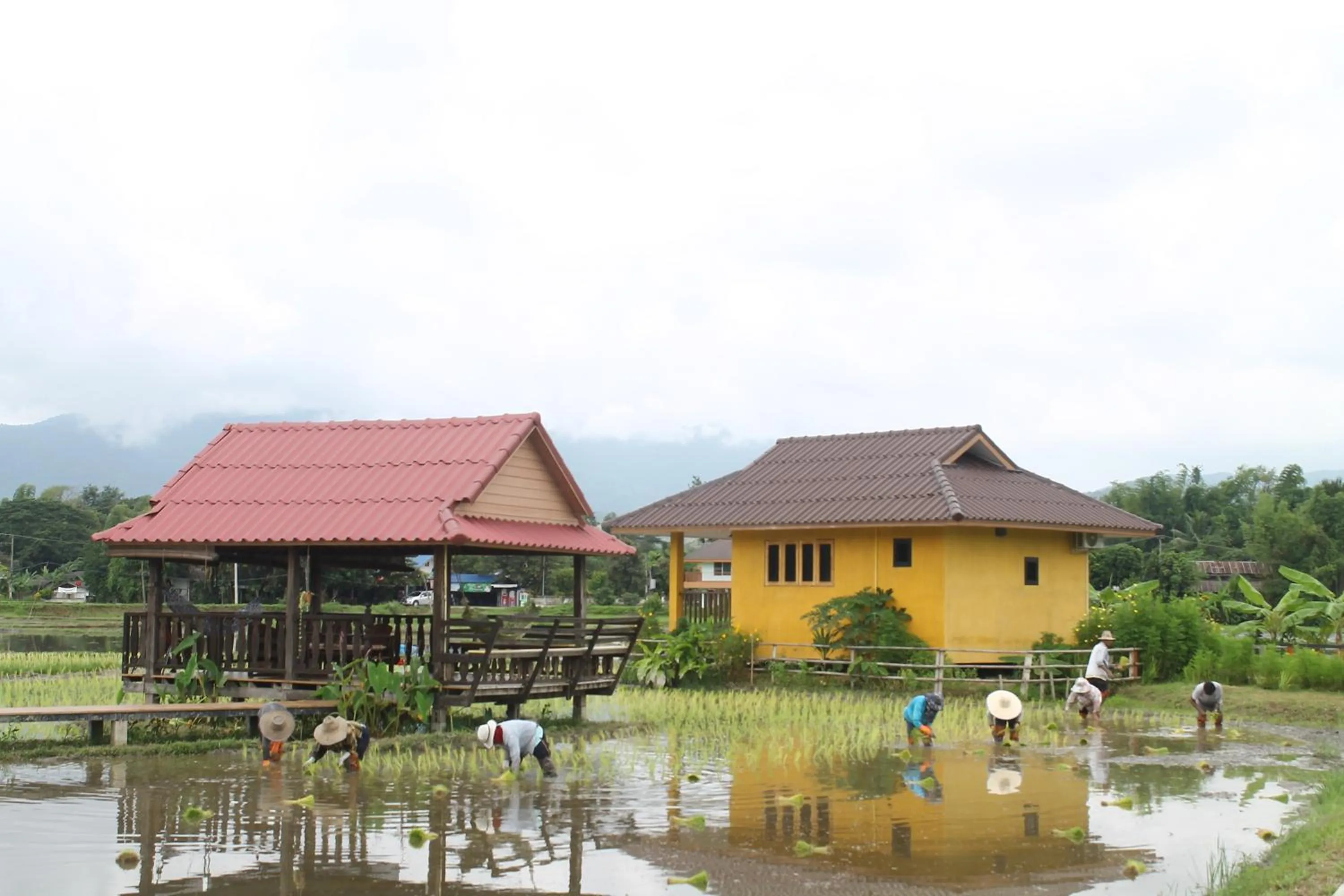 Garden view in Country Retreat