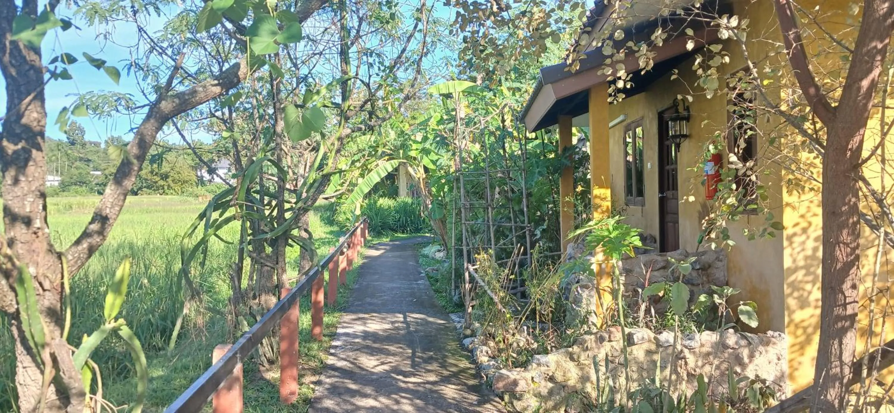 Property building in Country Retreat