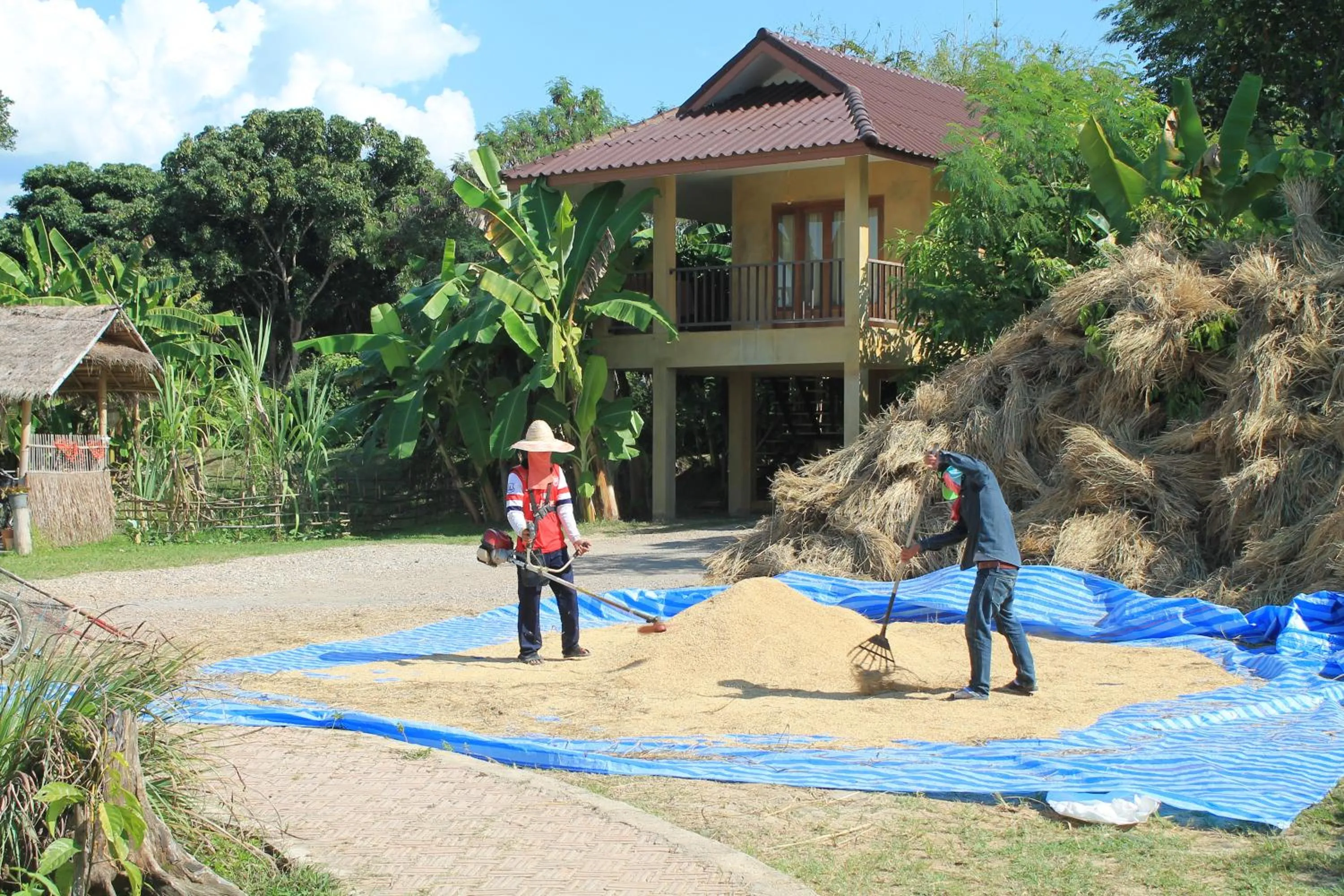 People in Country Retreat