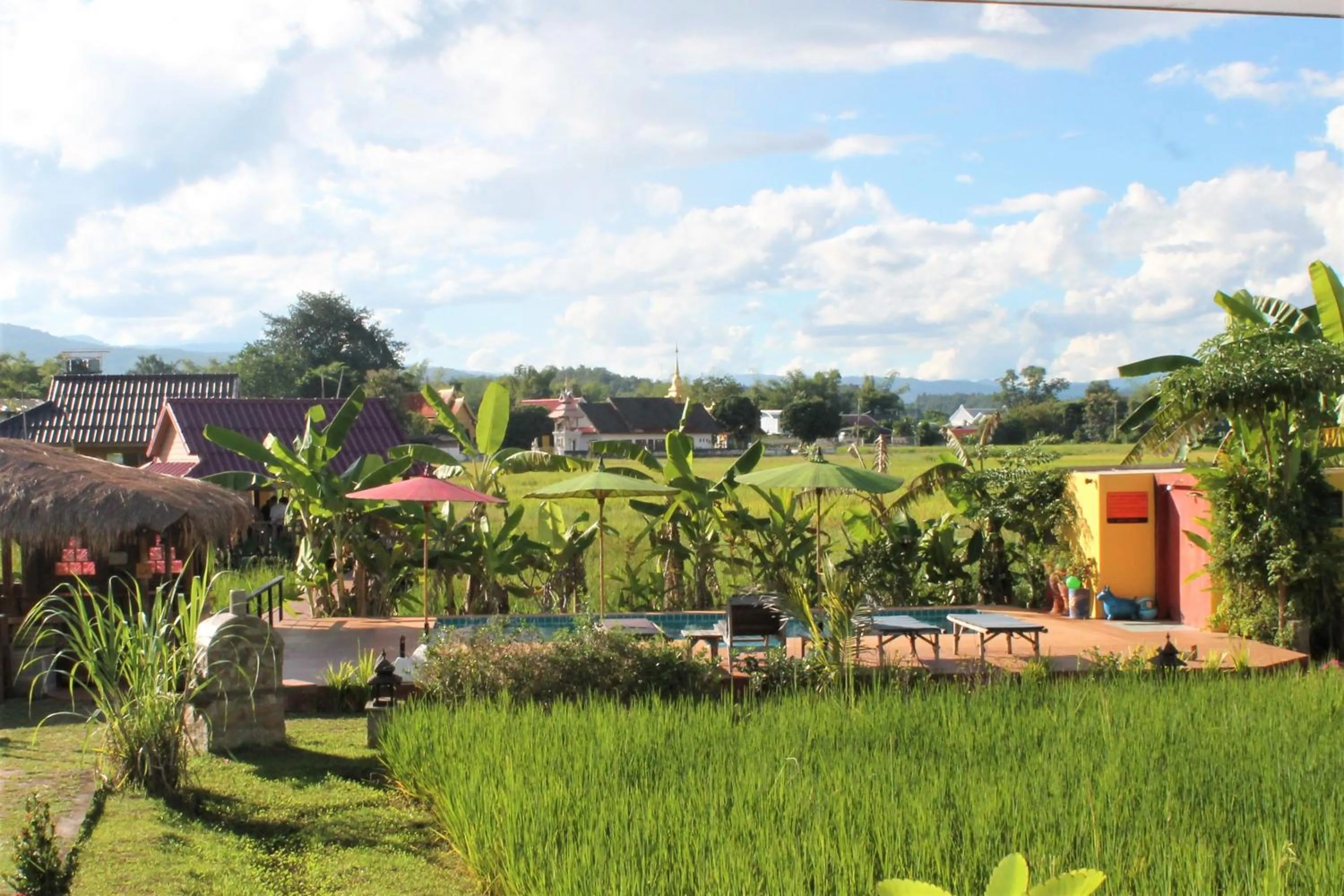 Swimming pool in Country Retreat