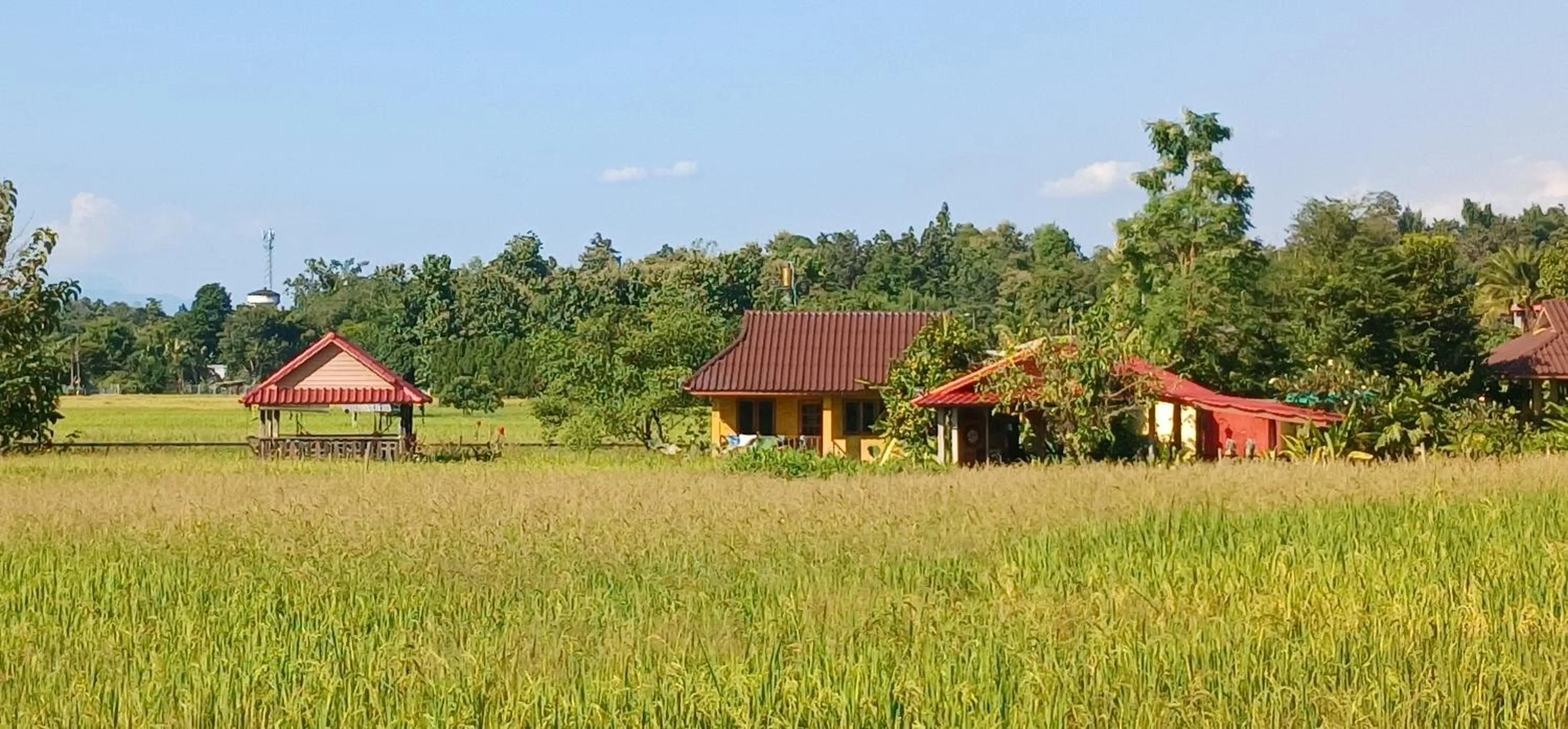 Property building in Country Retreat