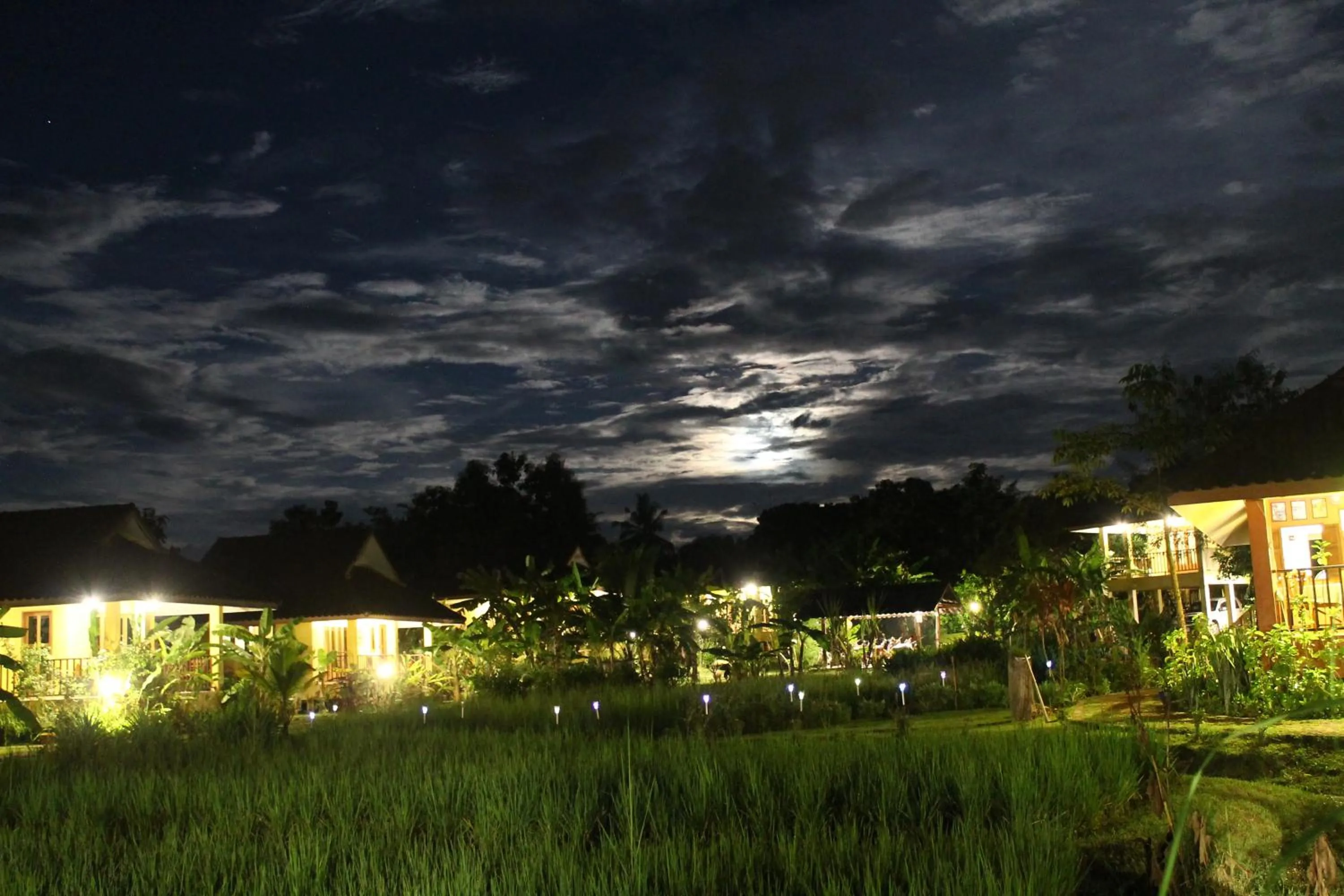 Neighbourhood in Country Retreat