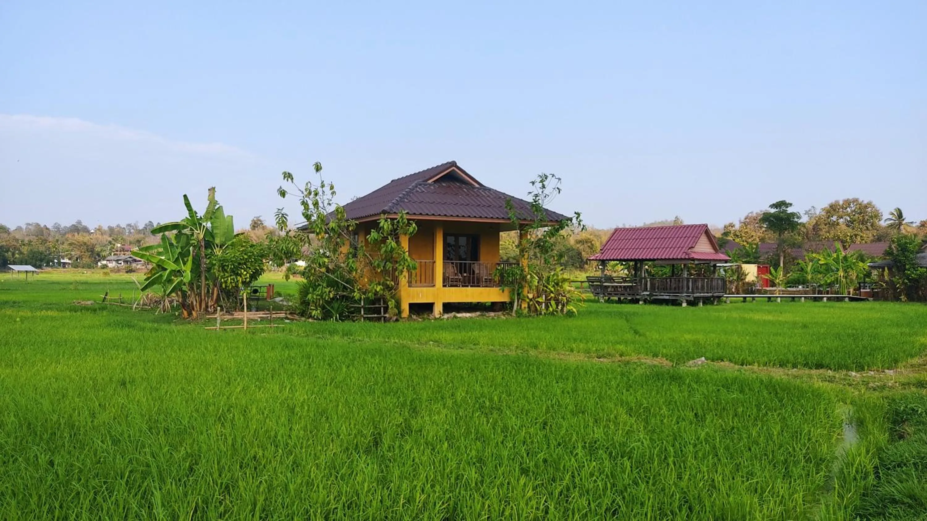 Garden view in Country Retreat