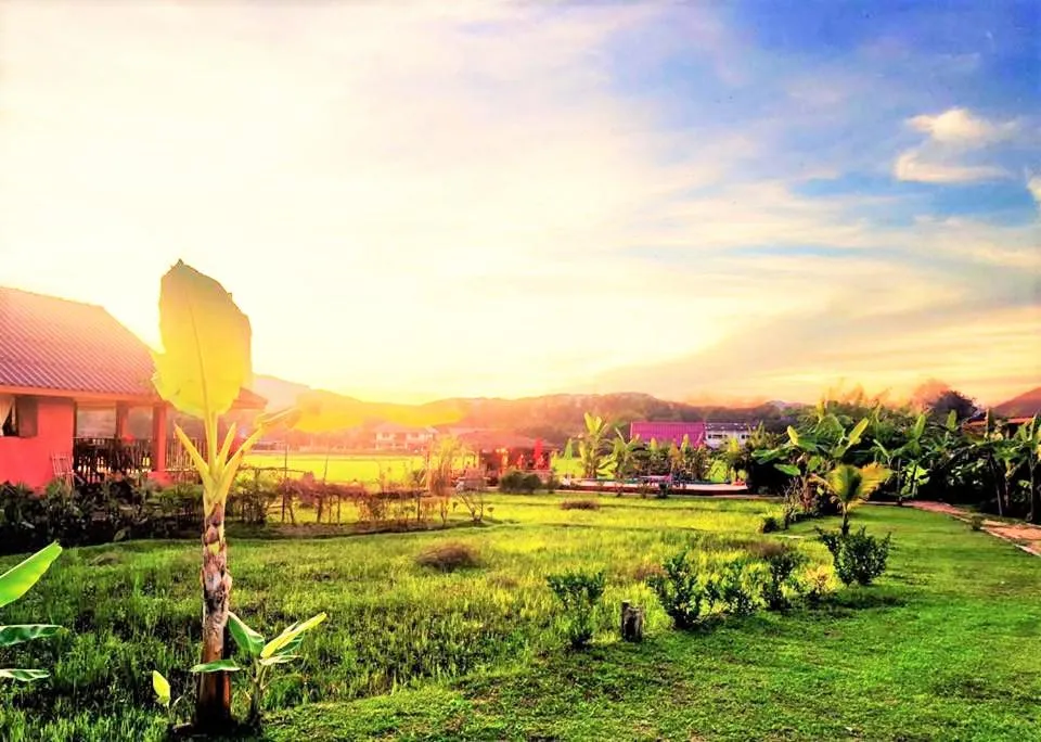 Natural landscape in Country Retreat