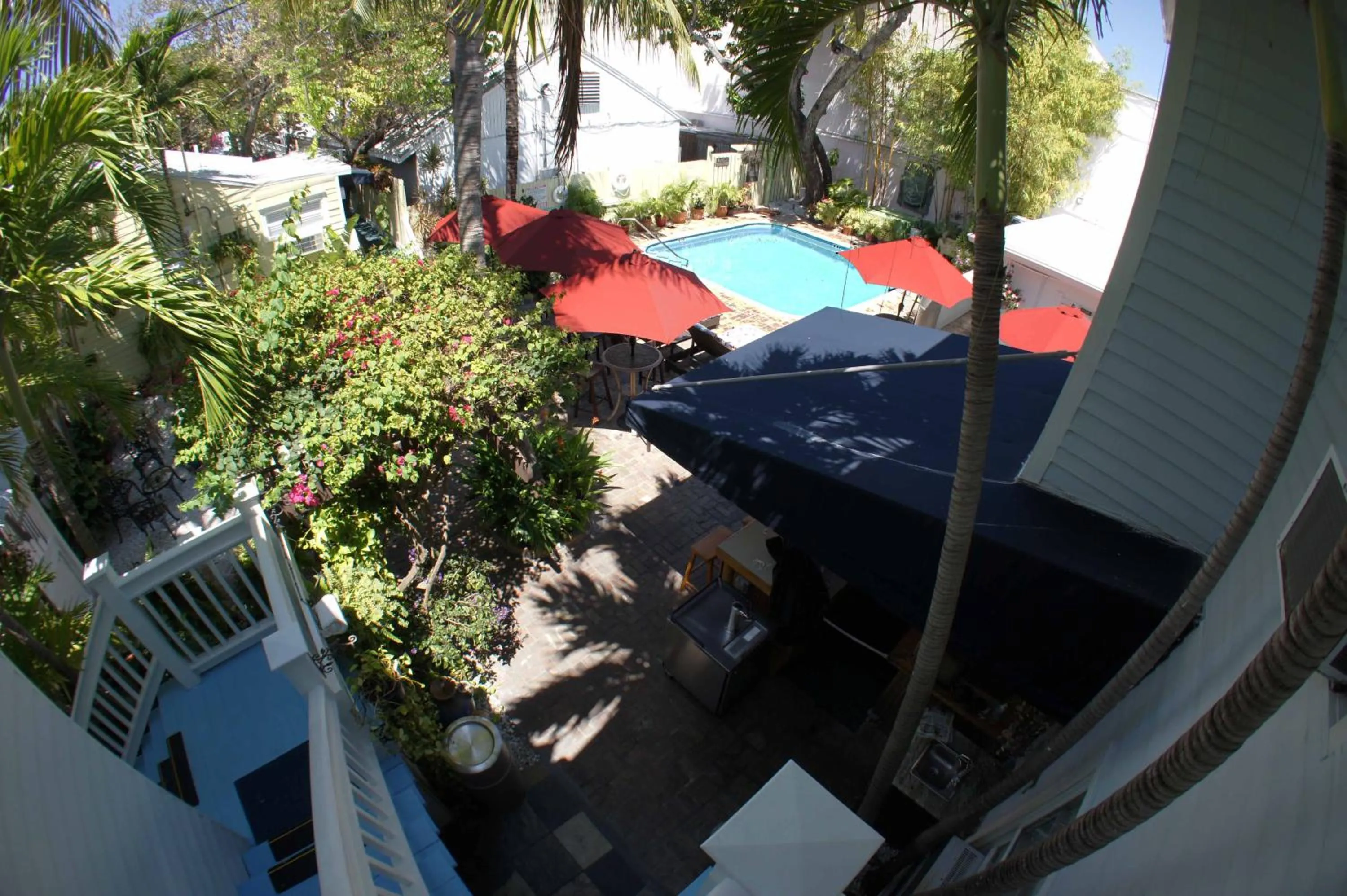 Day in Duval Inn - Key West