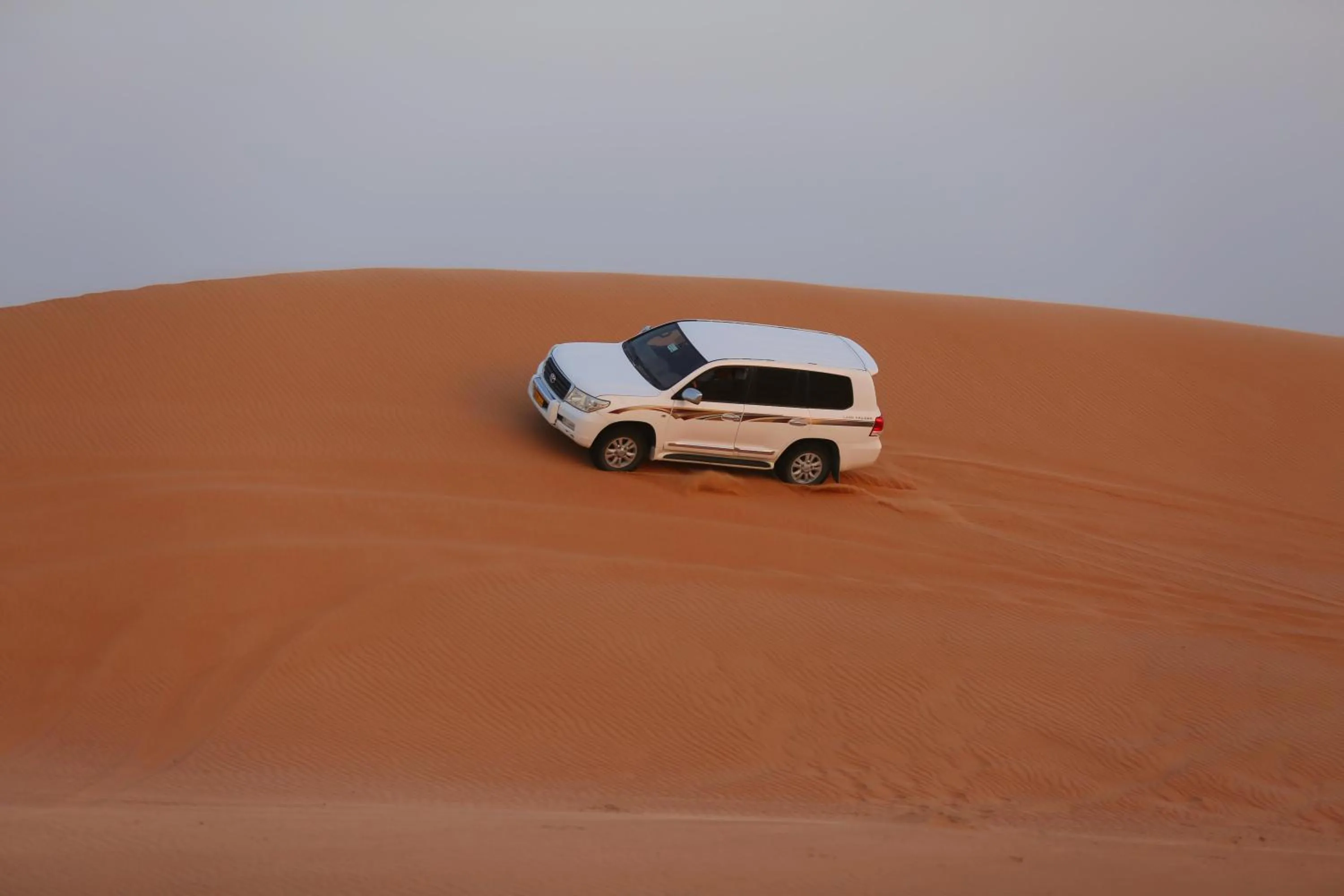 Activities in Thousand Nights Camp