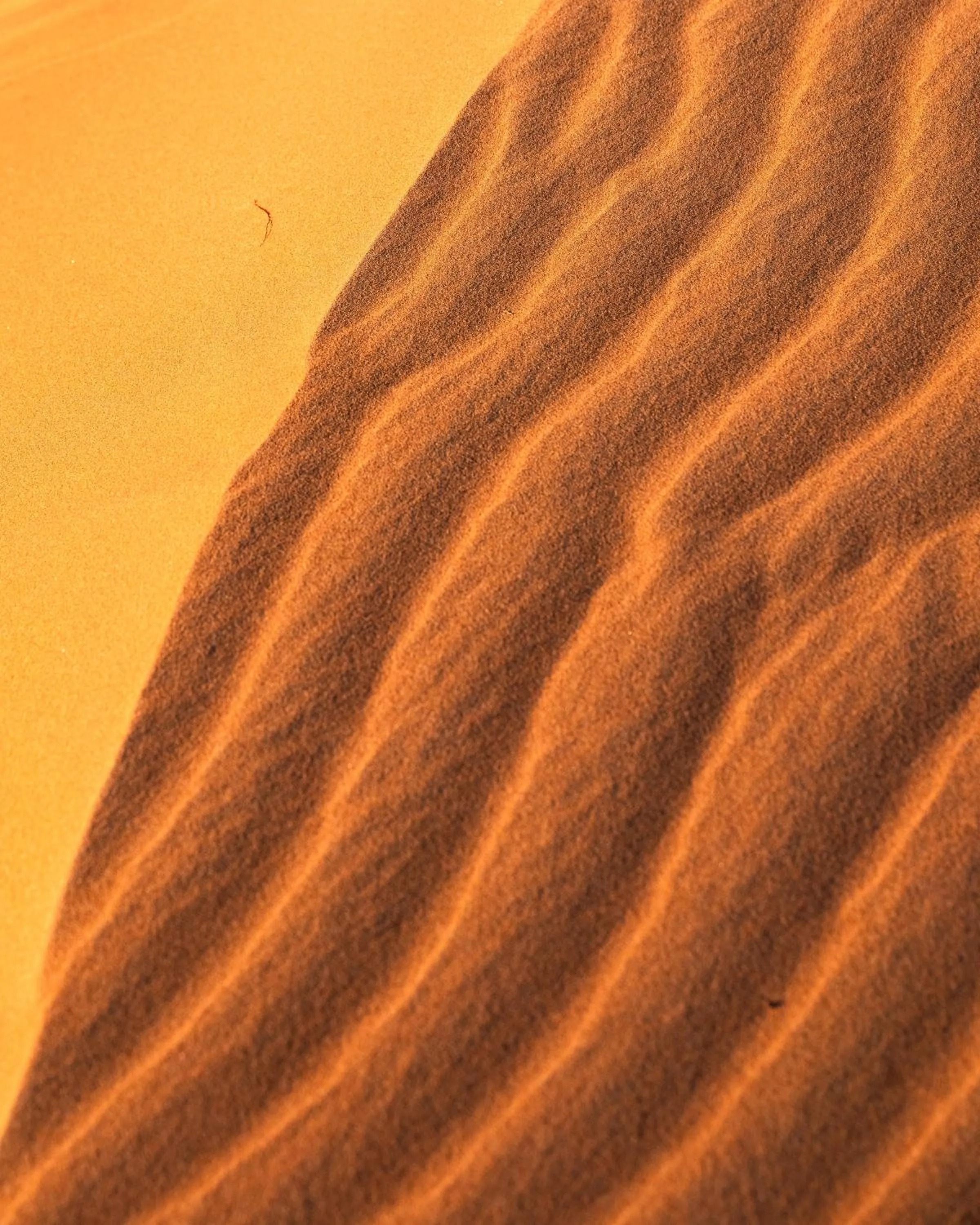 Natural landscape in Thousand Nights Camp