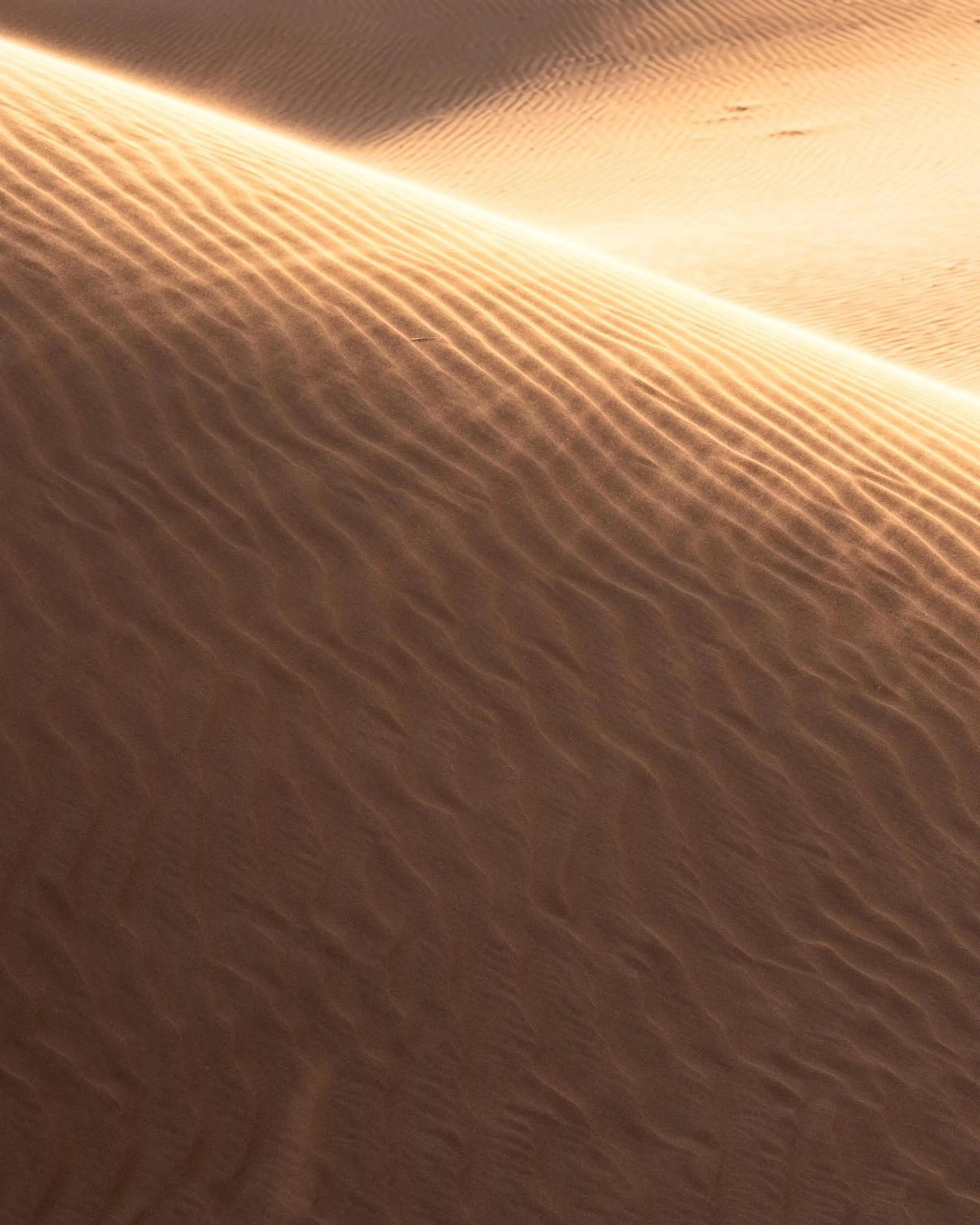 Natural landscape in Thousand Nights Camp